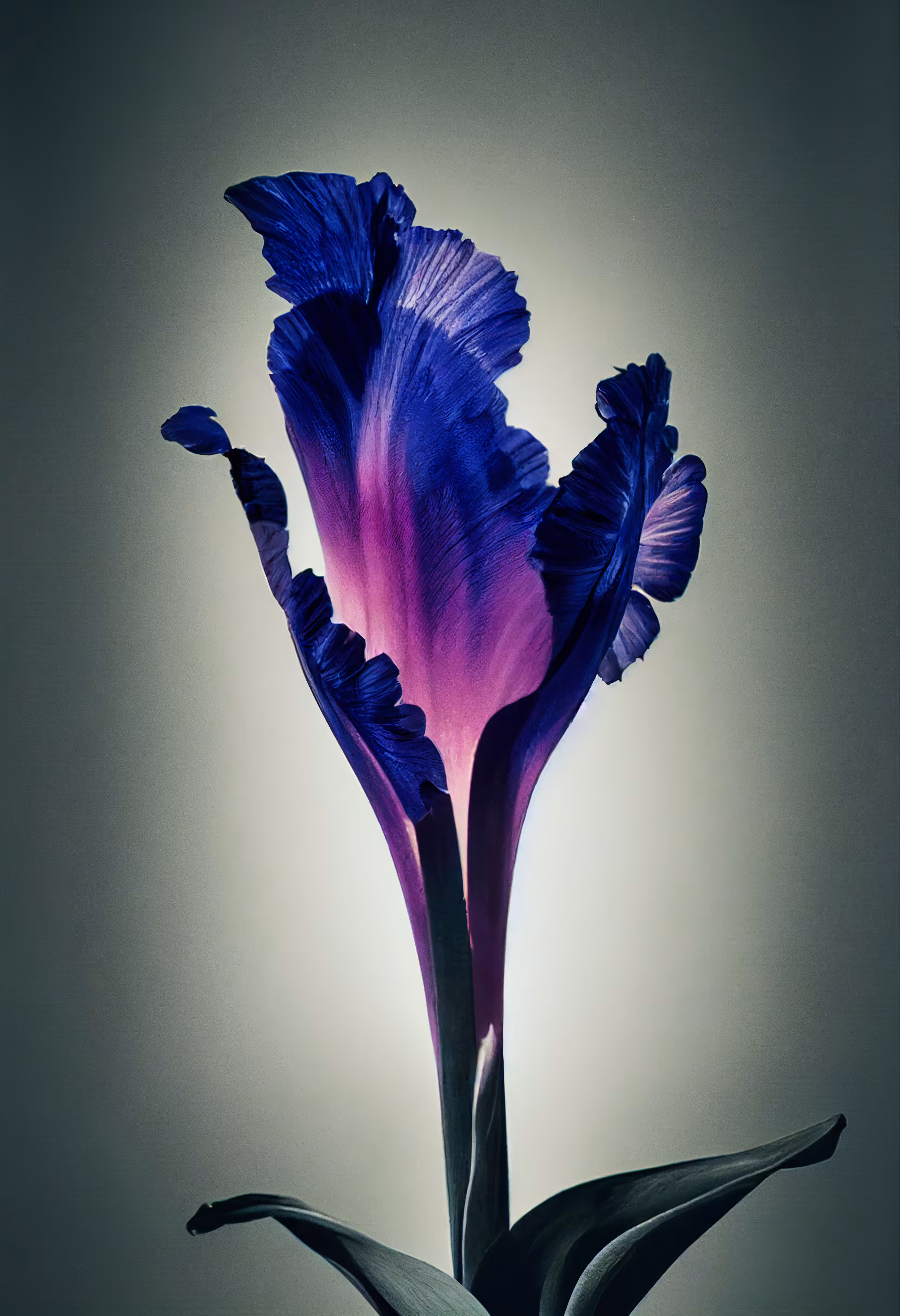 A Flower, Just For You. #57