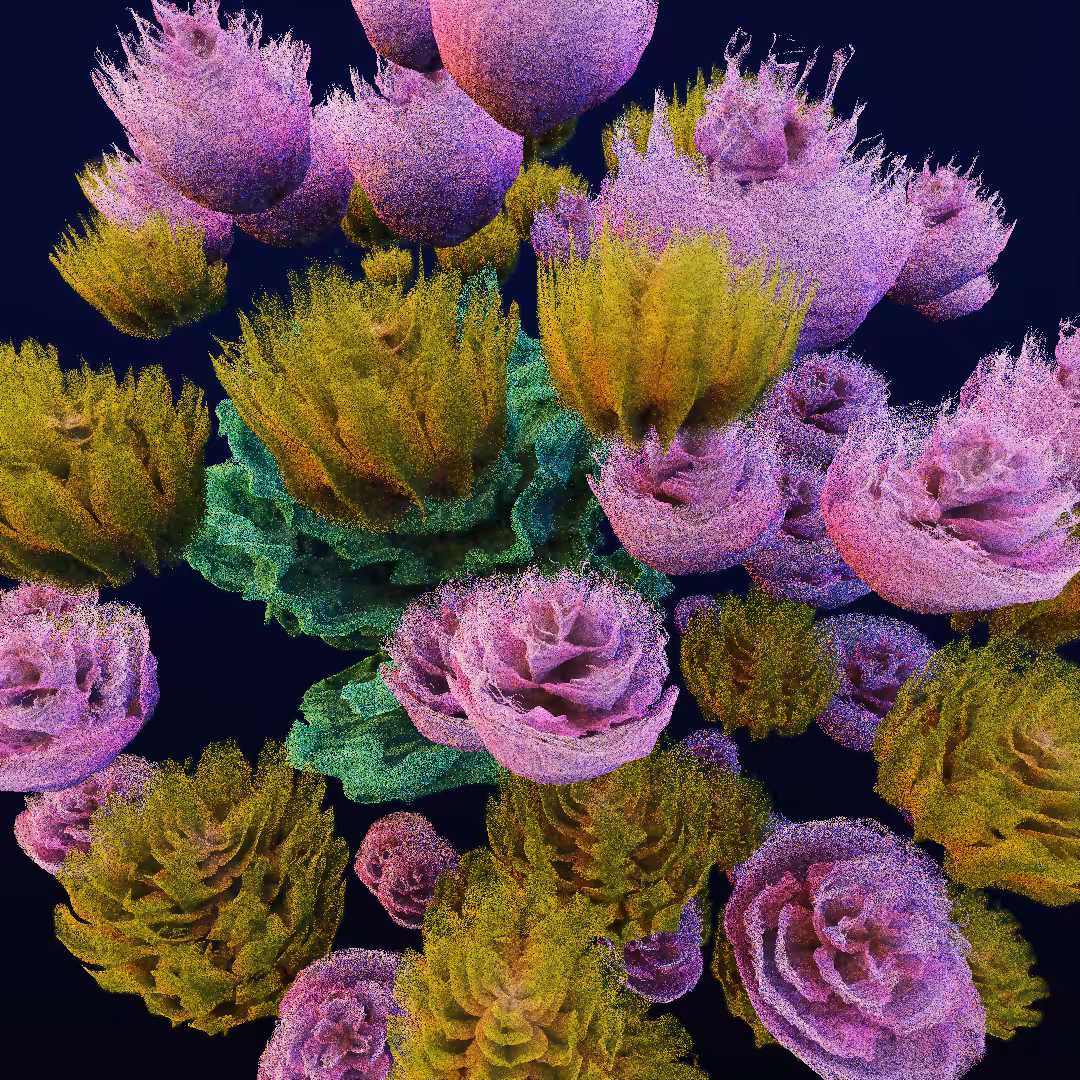 rosarium #49