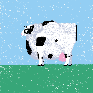 cow #19