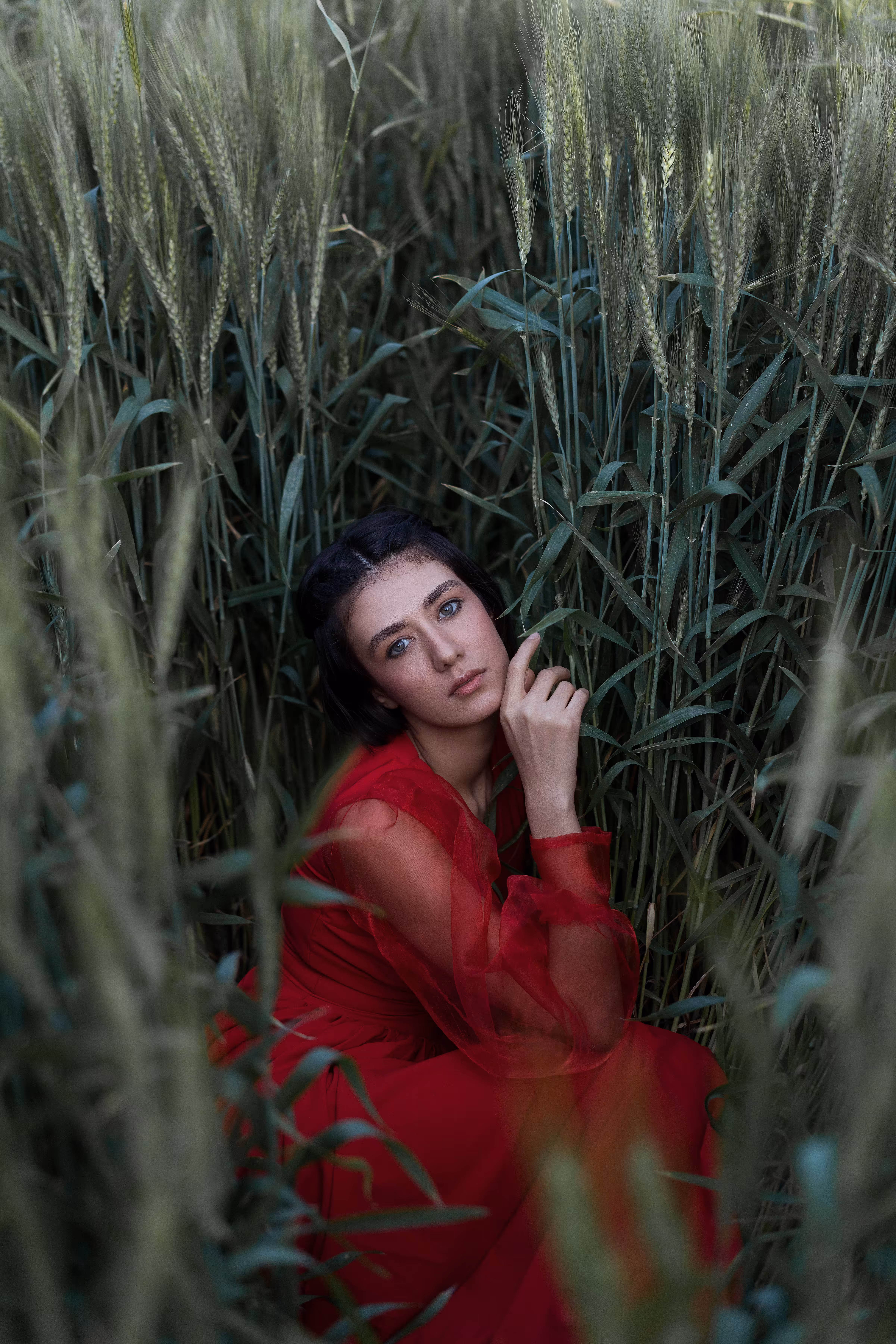 Red Sorrow
