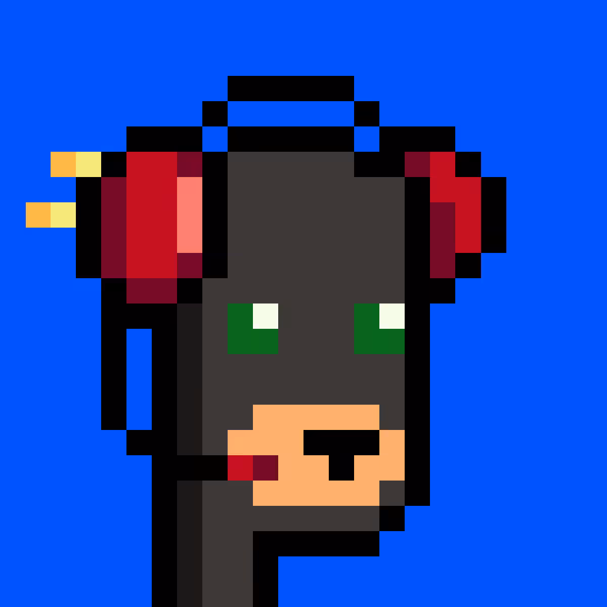 BearPunks #2079