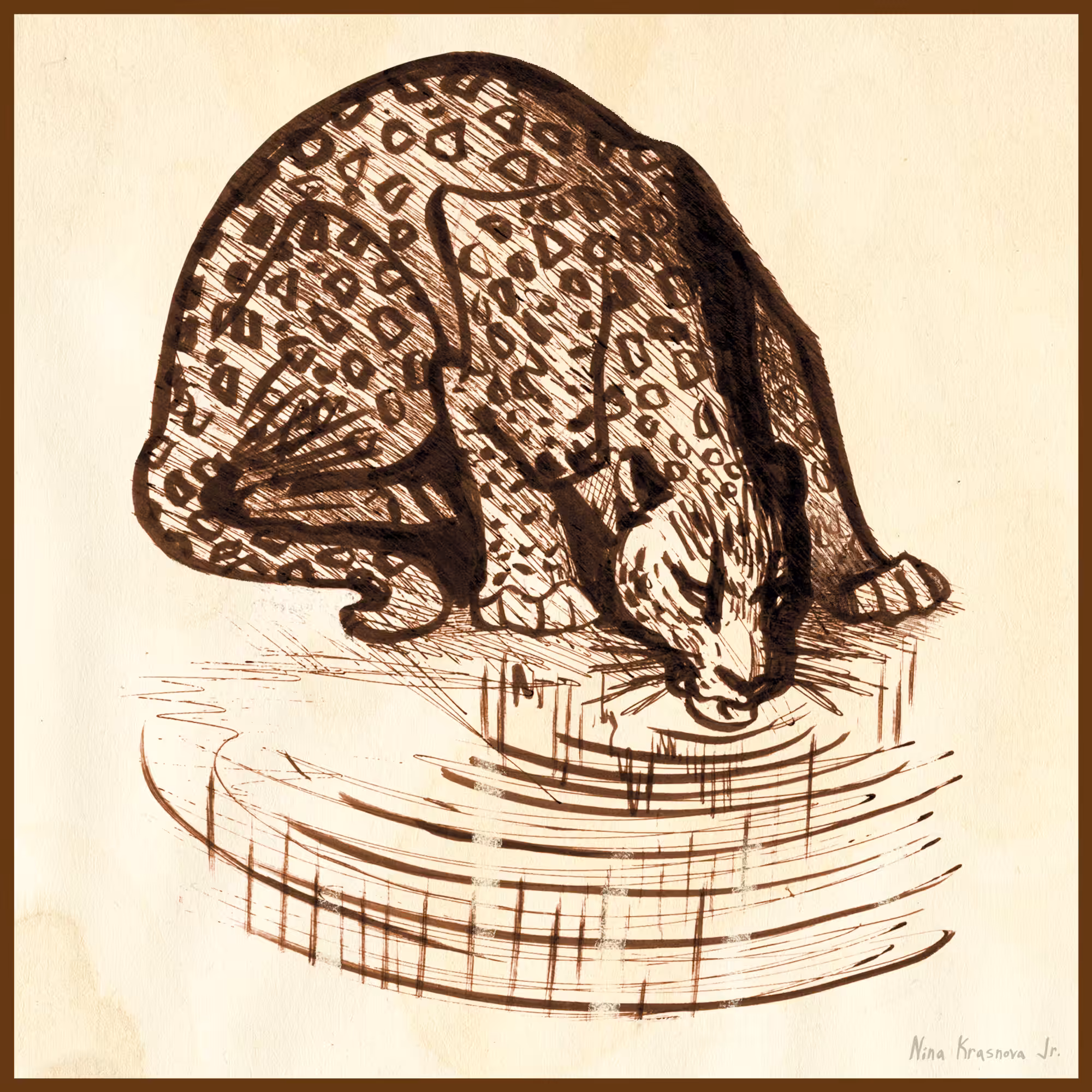 Leopard