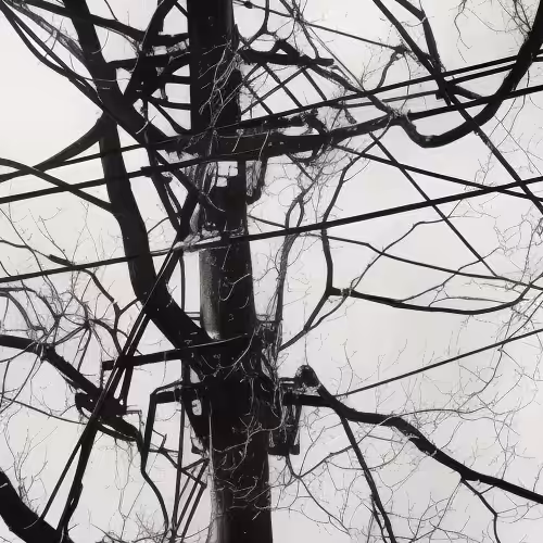 [dis]connections pt 5