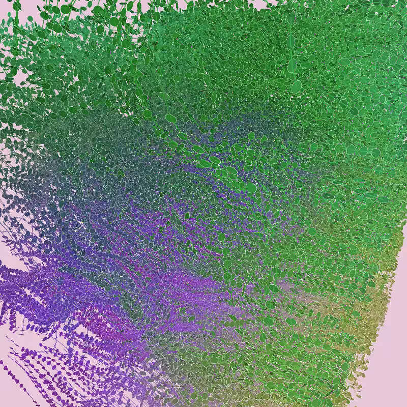 u. Growth #32