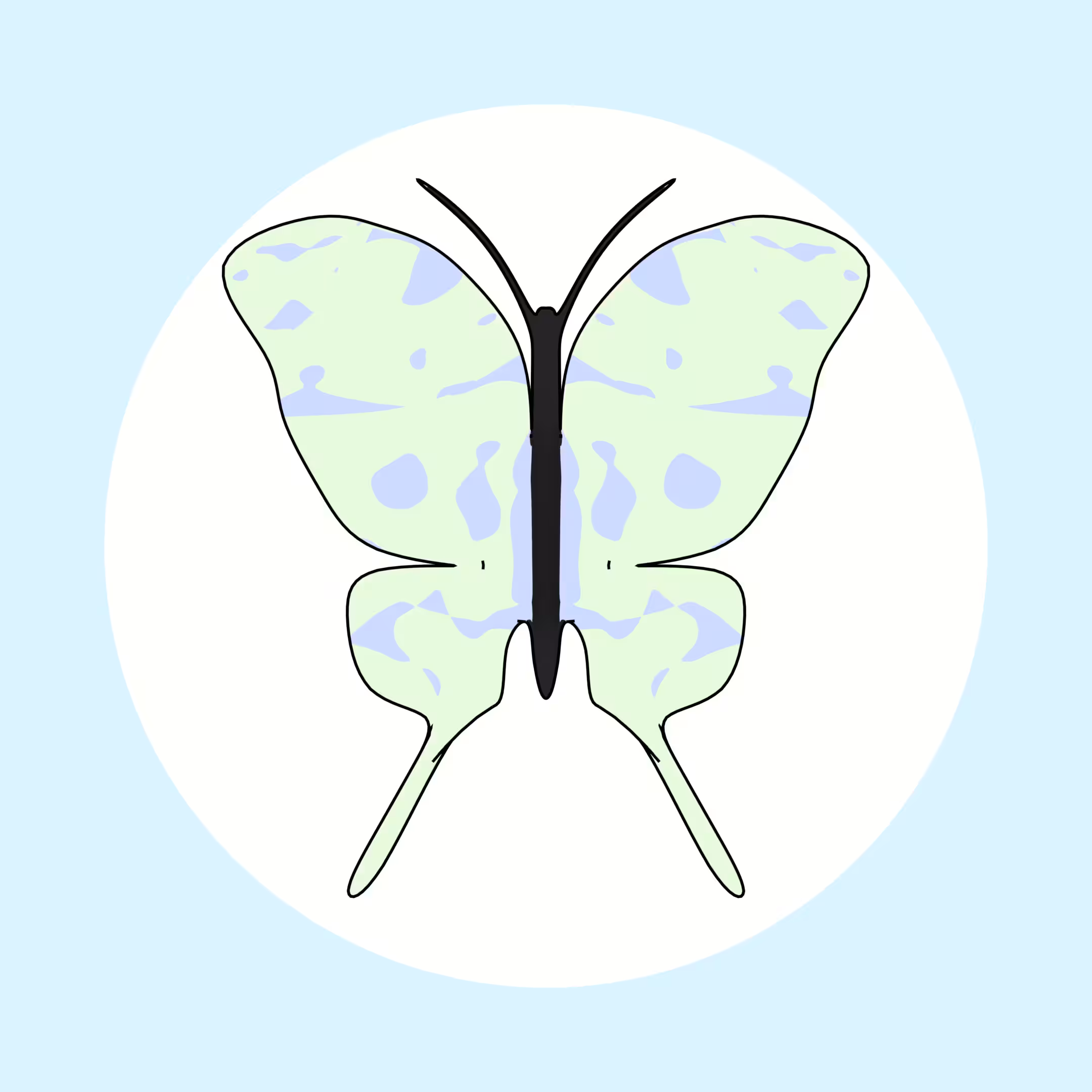 Aesthetic Butterfly #009