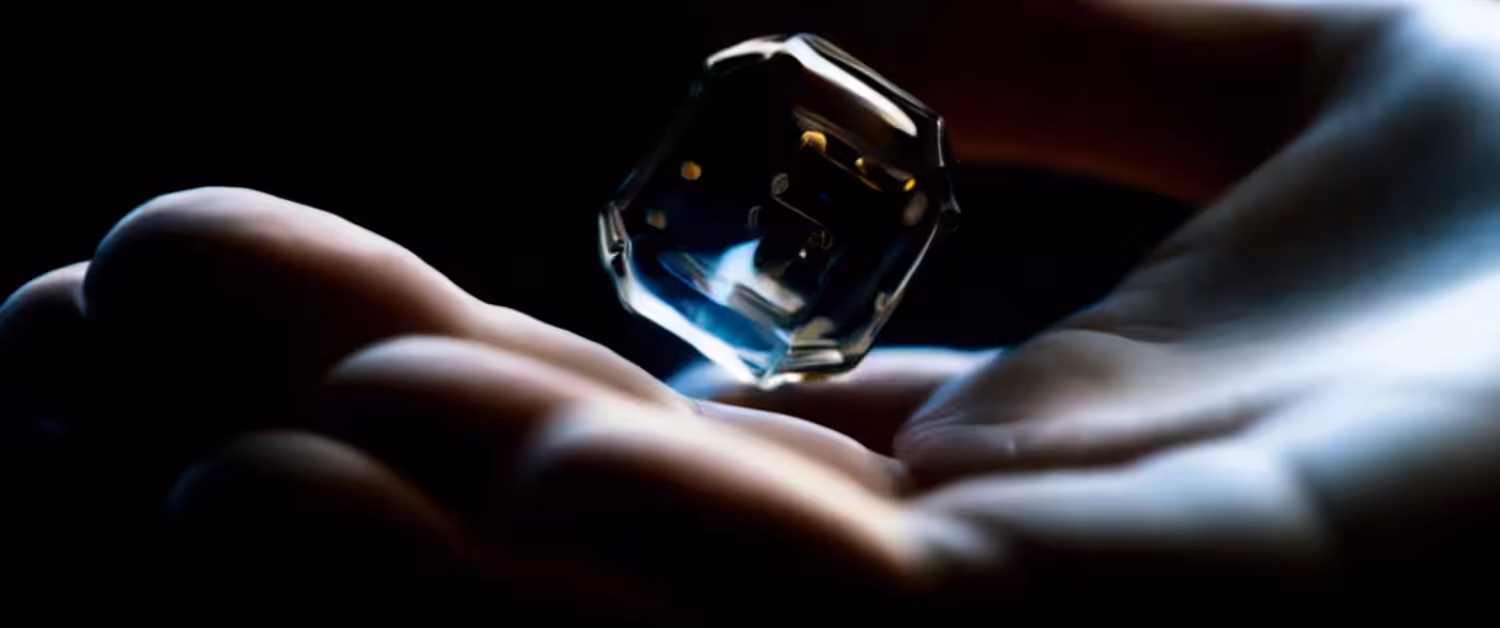 The Light Inside Us