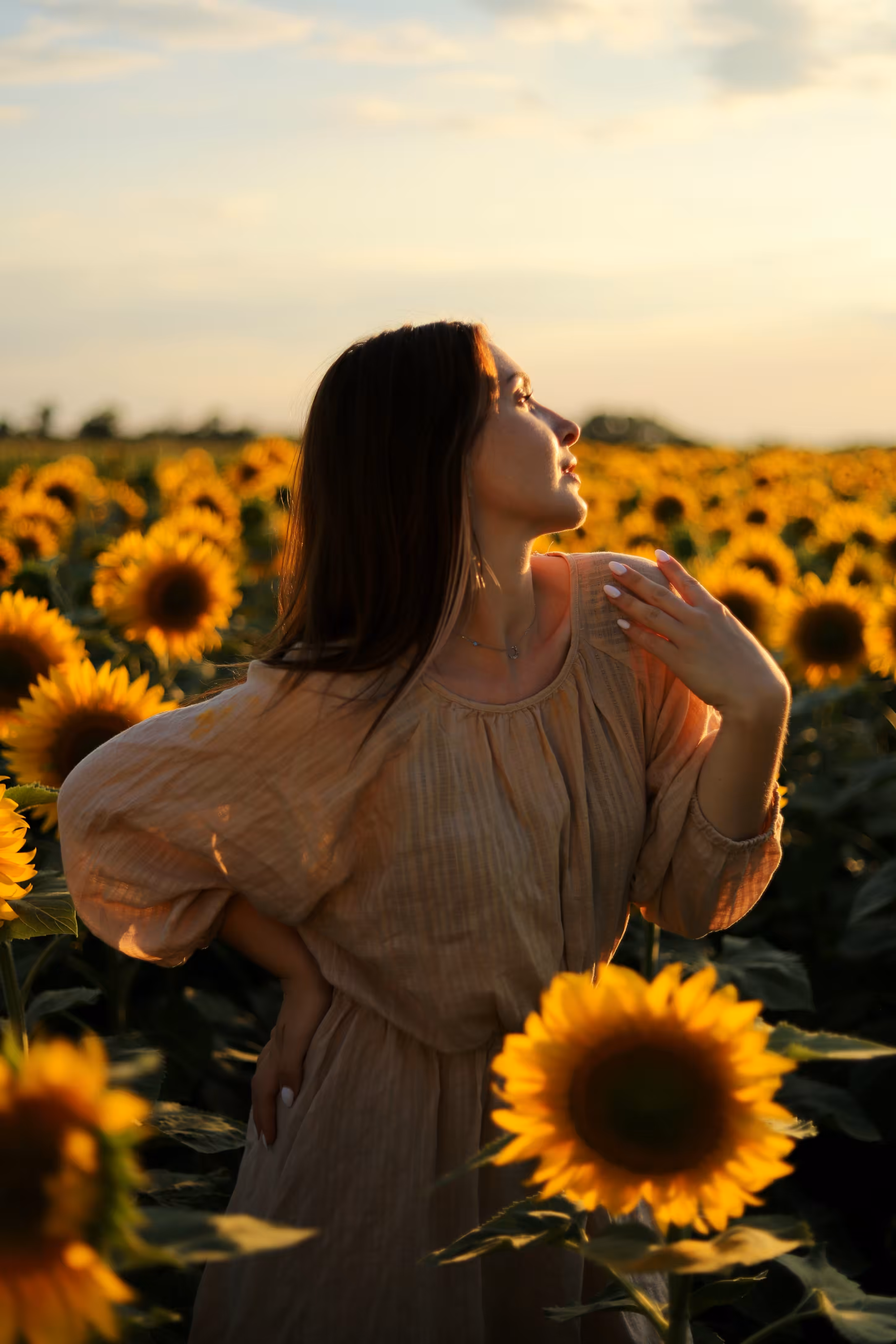 the last sun