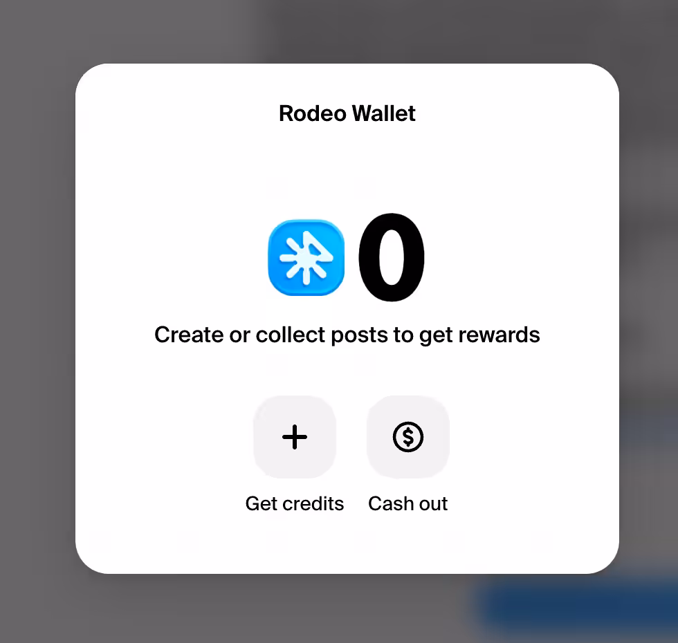 what you can expect from this platform