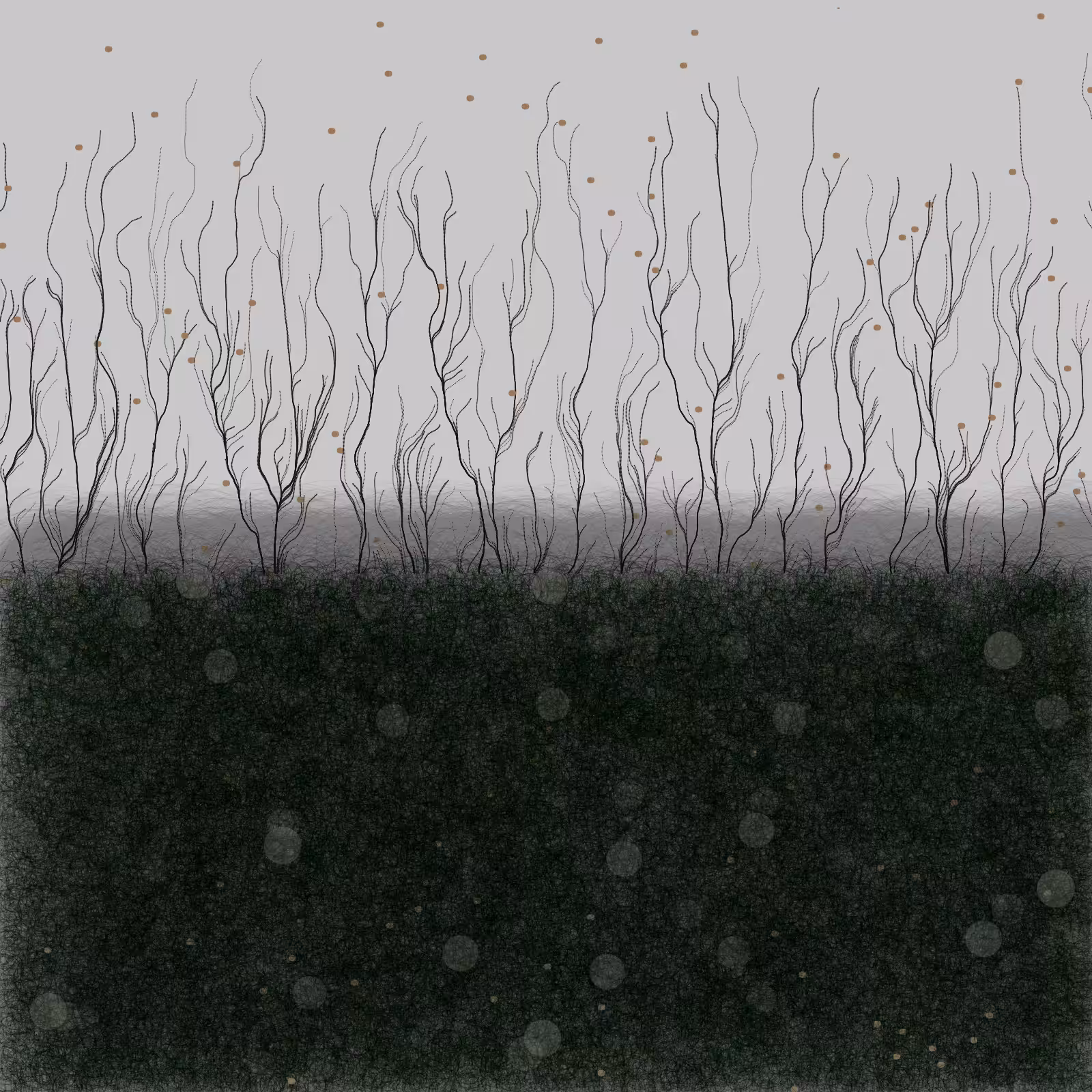 branches #31