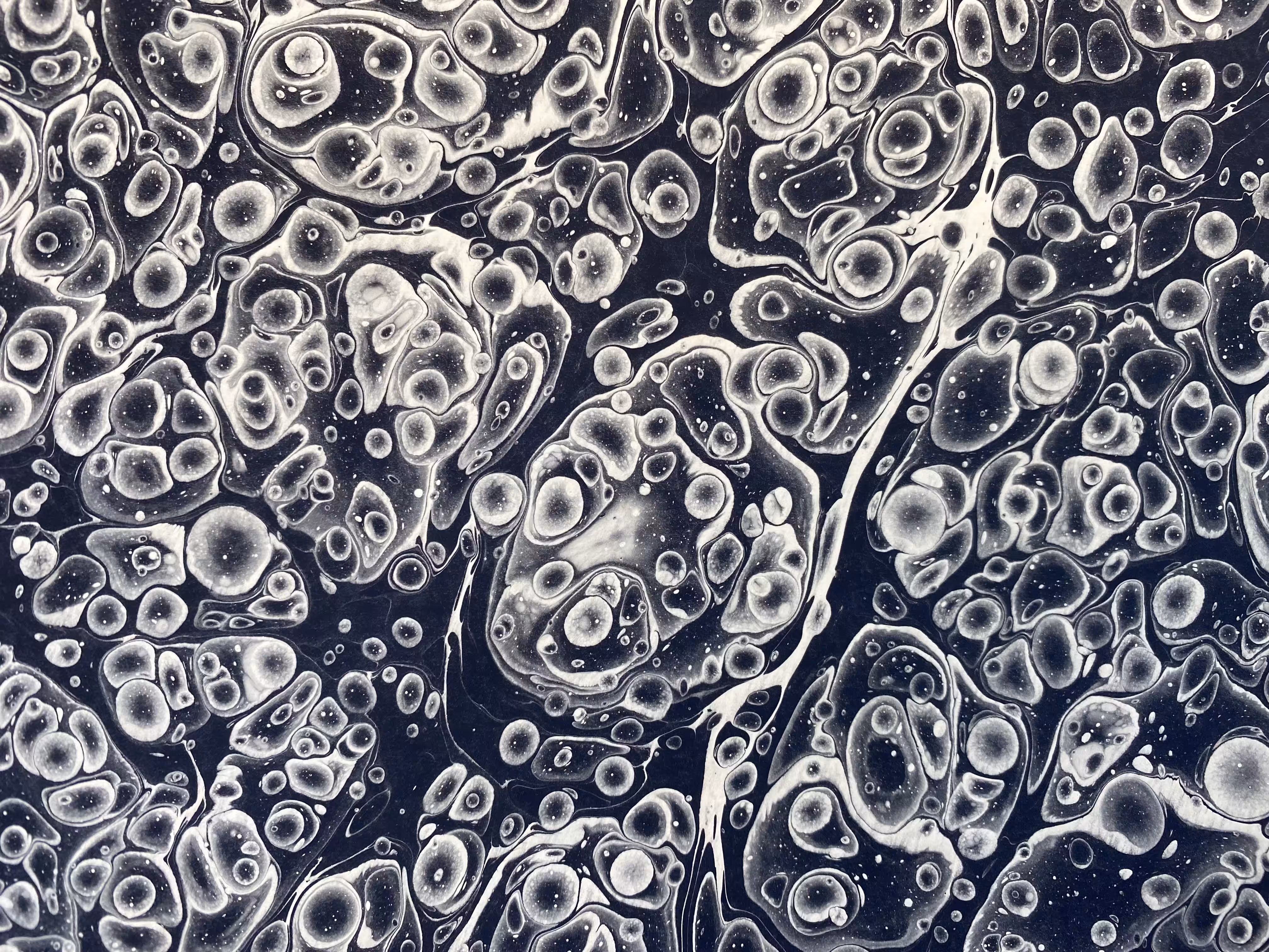 Monochrome Battal Ebrû / Marbling Art SE #16