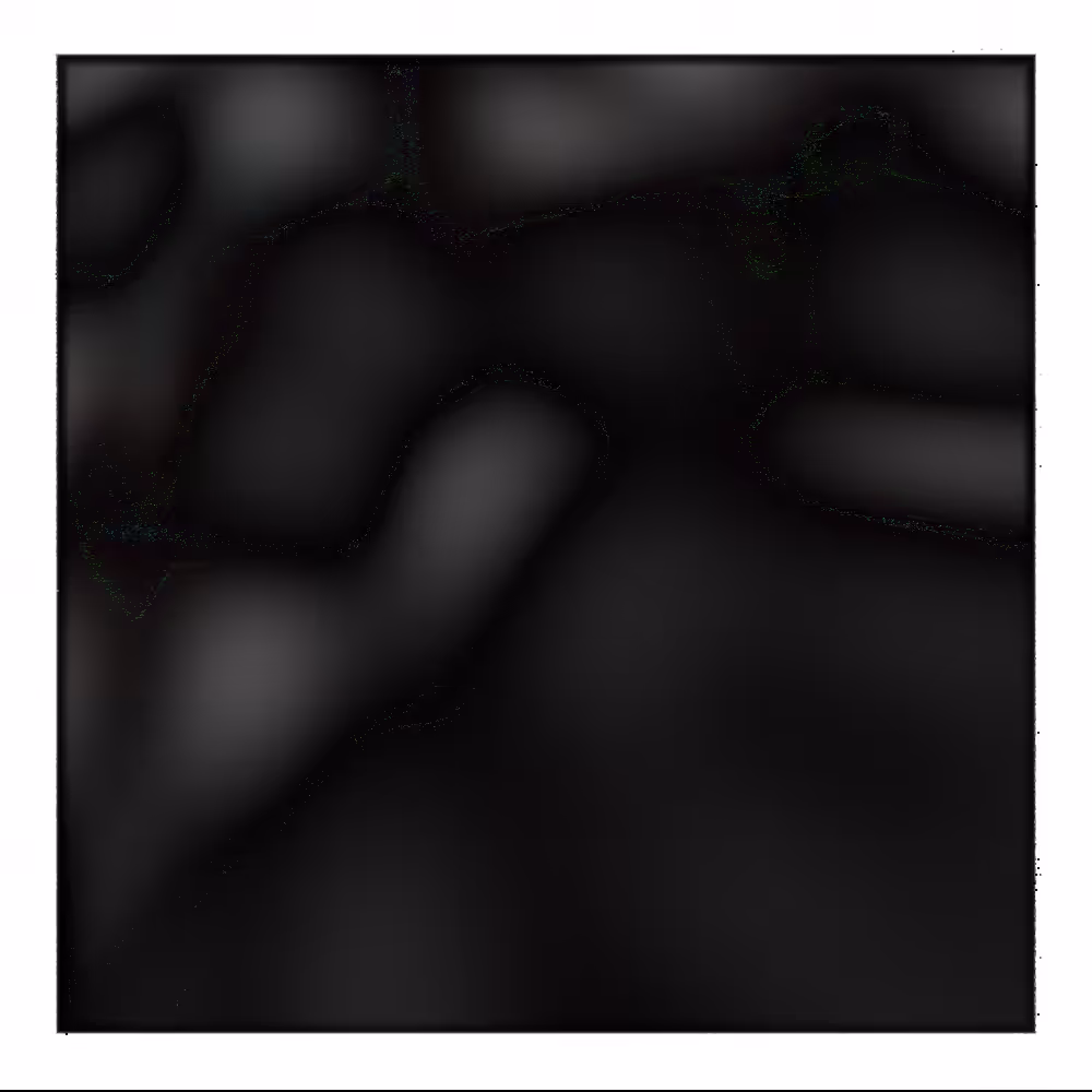 ƈαʂƈαԃҽ #2