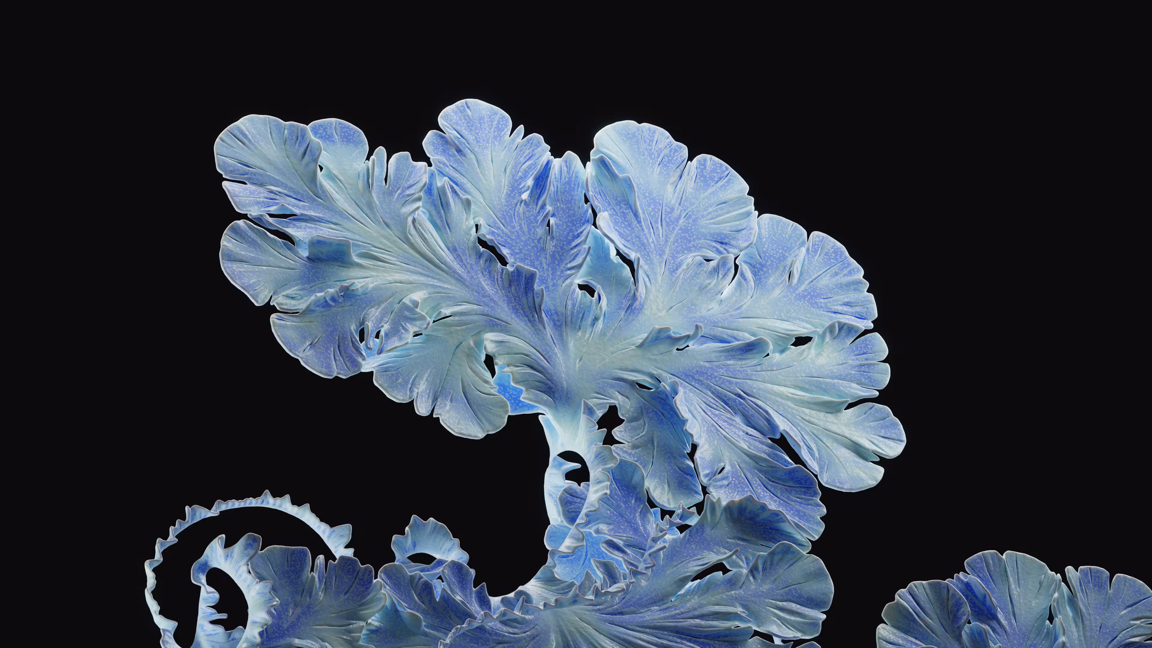 HYPHA #17 - OGIUM