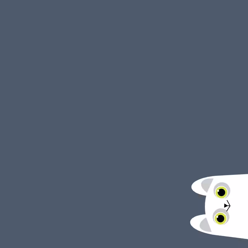 Where is the cat? #5