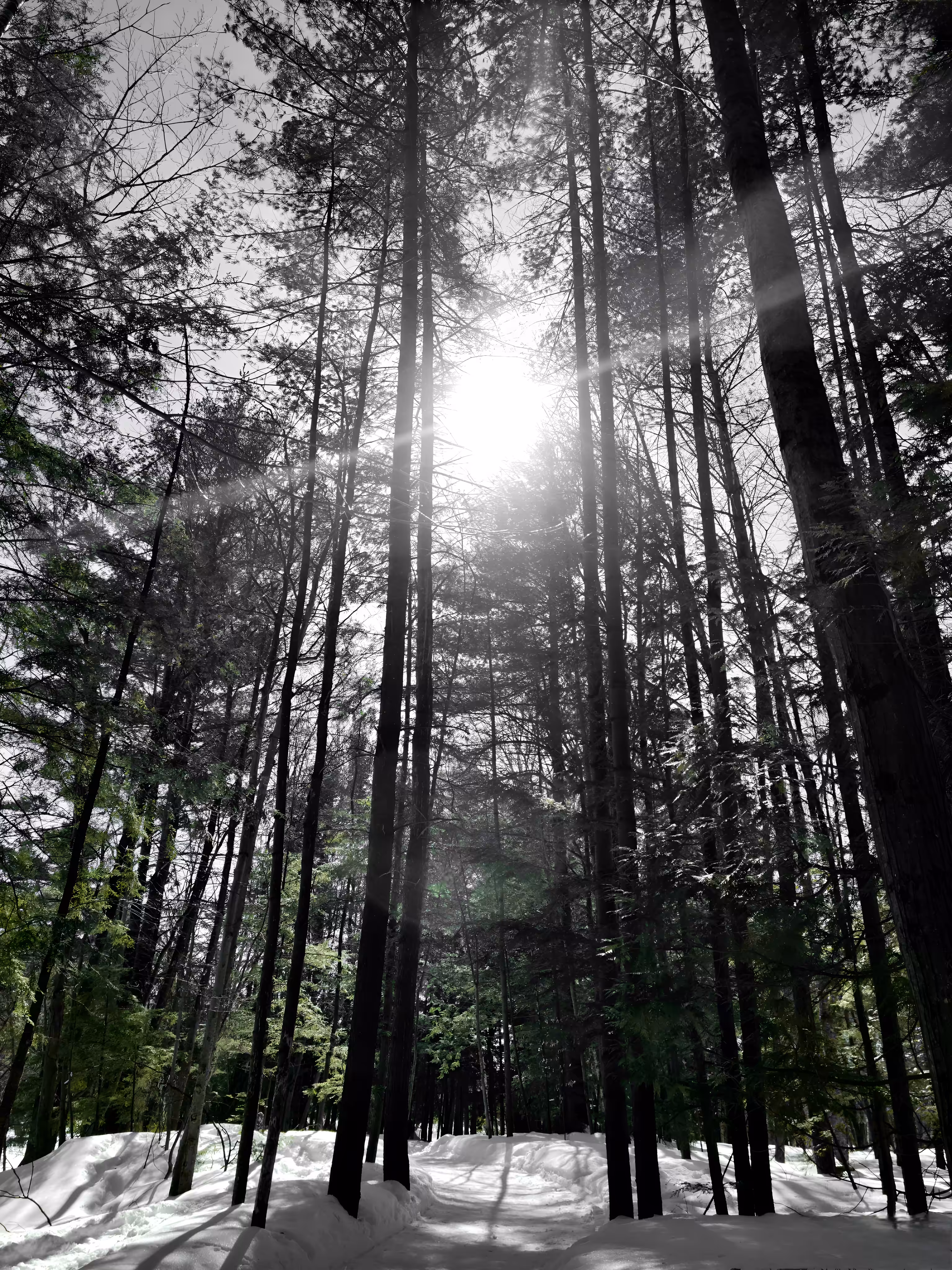 Everyday Pictures: Day #70
