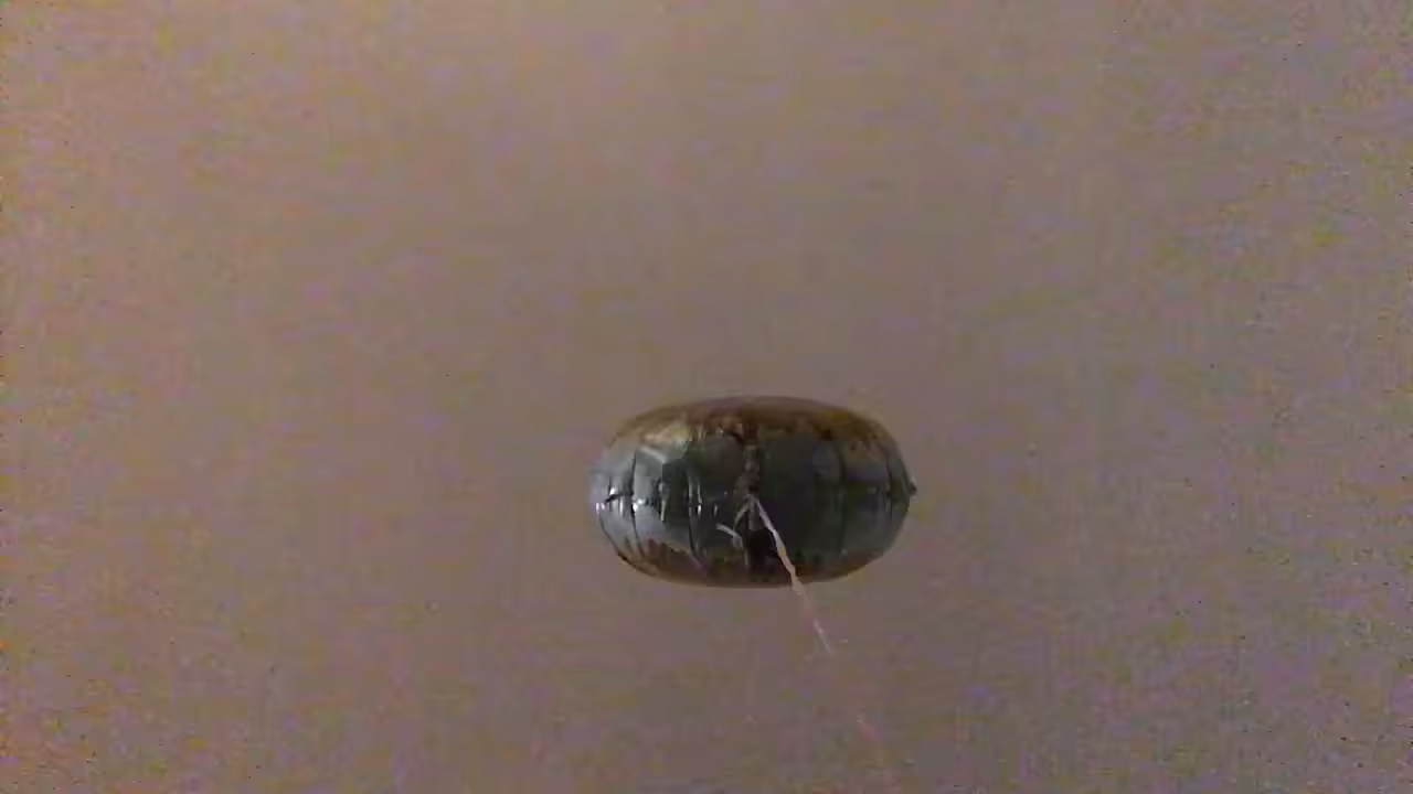 Song A Day: Balloon