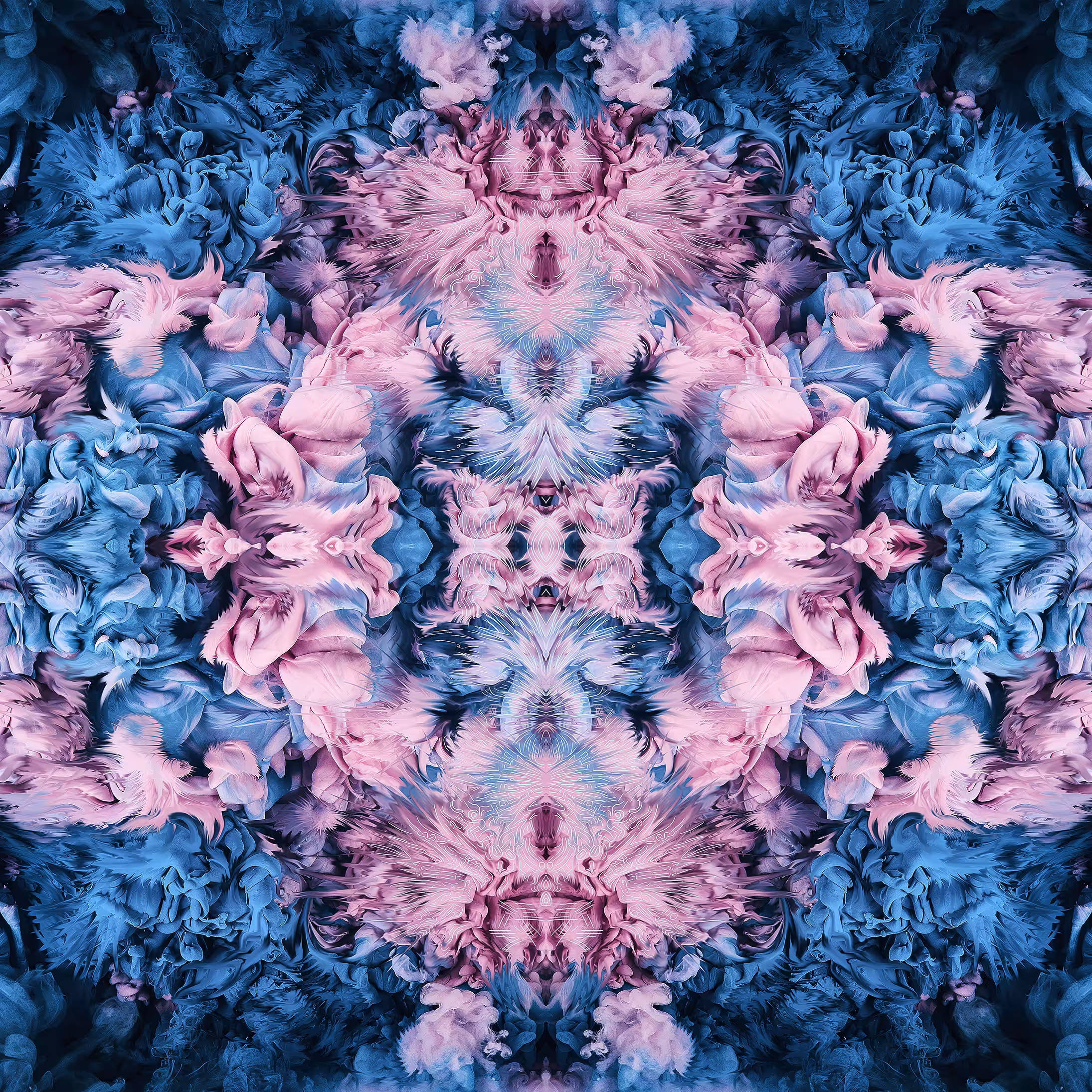 Untitled - 003