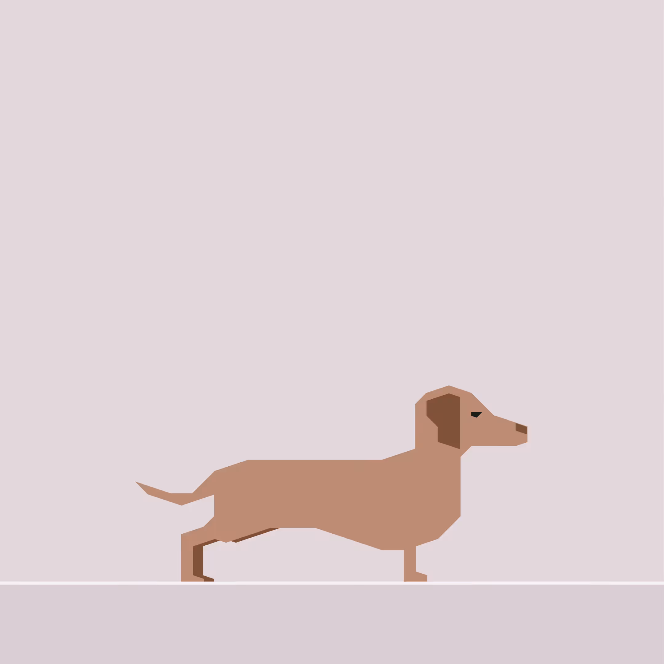 Dachshund