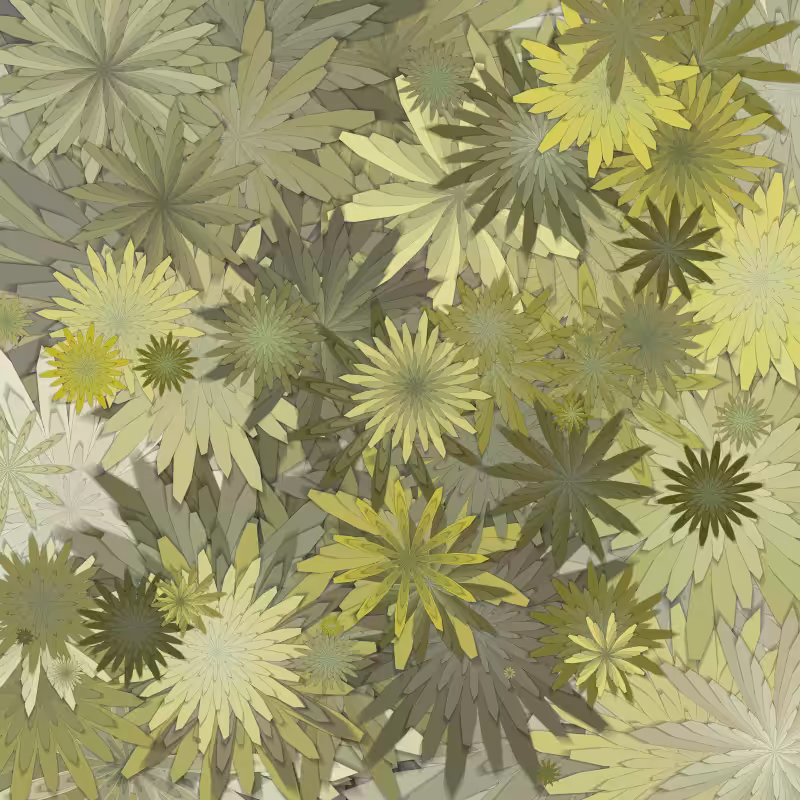 Flowerfield.  #28