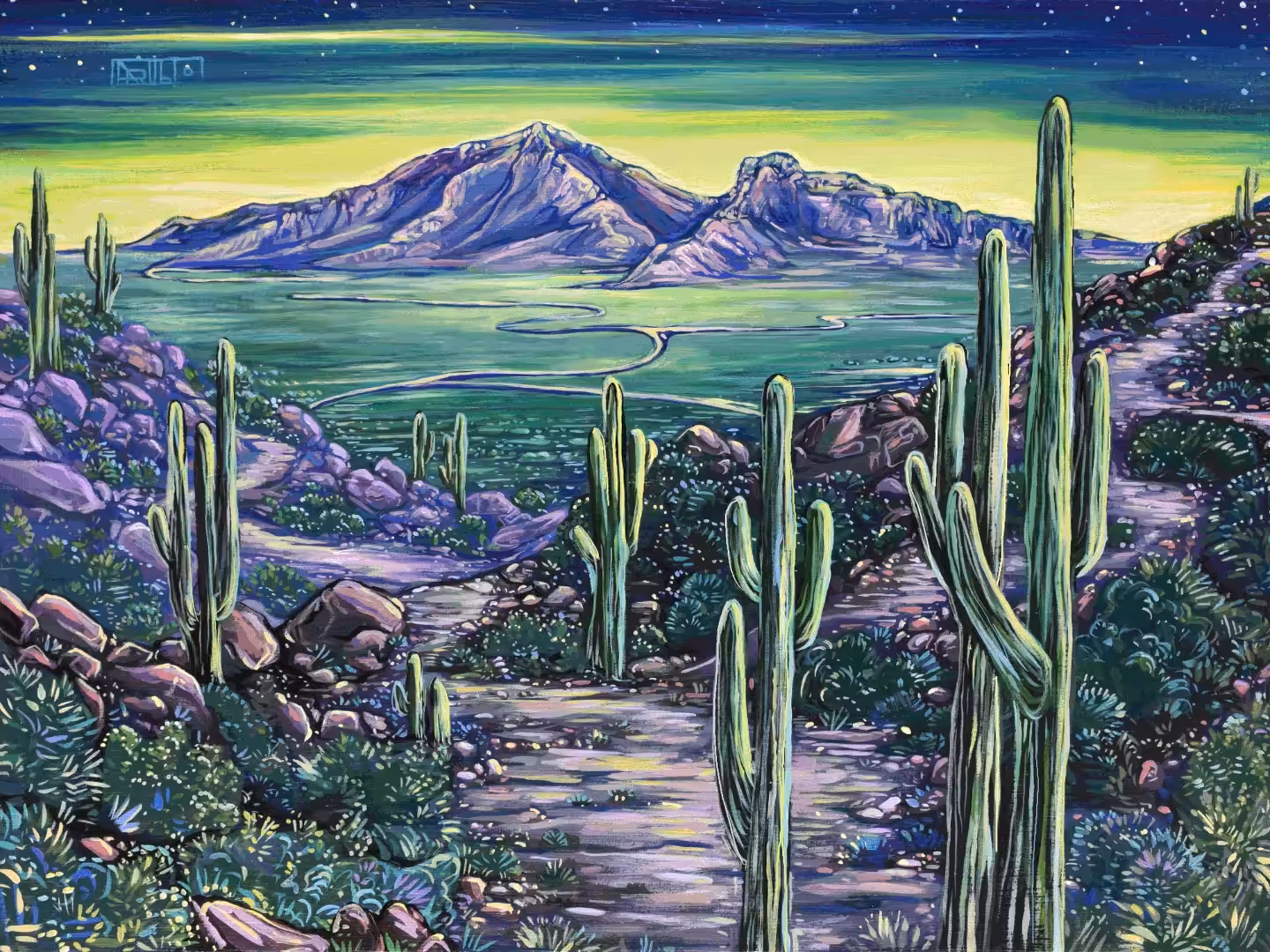 Camelback Mountain Cactus