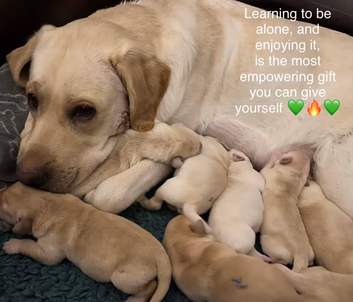 Life Lesson 41 