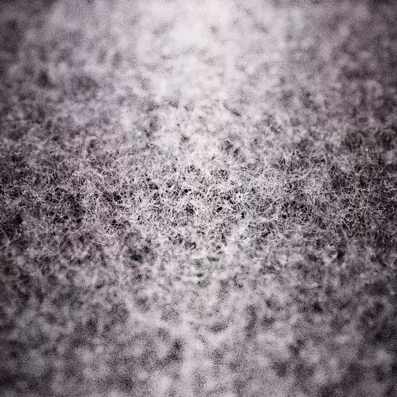 Field of noise #9