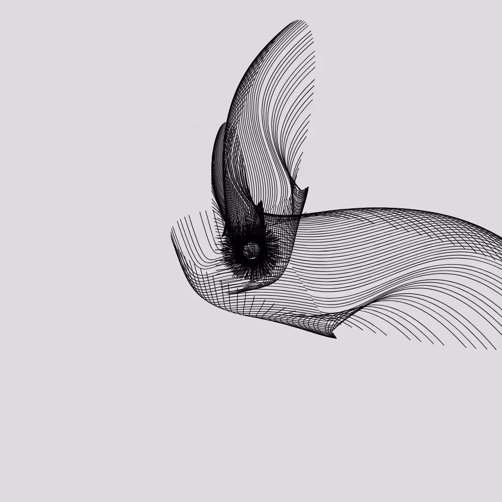ANATOMY of a rabbit but bird #4