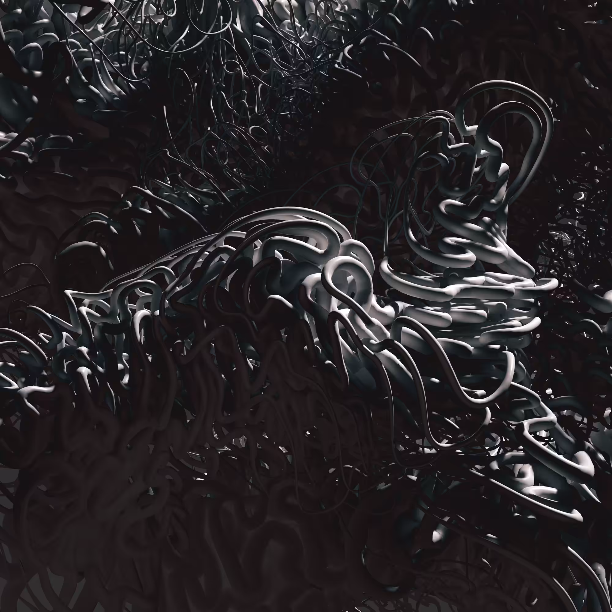 Polymorph: Braid