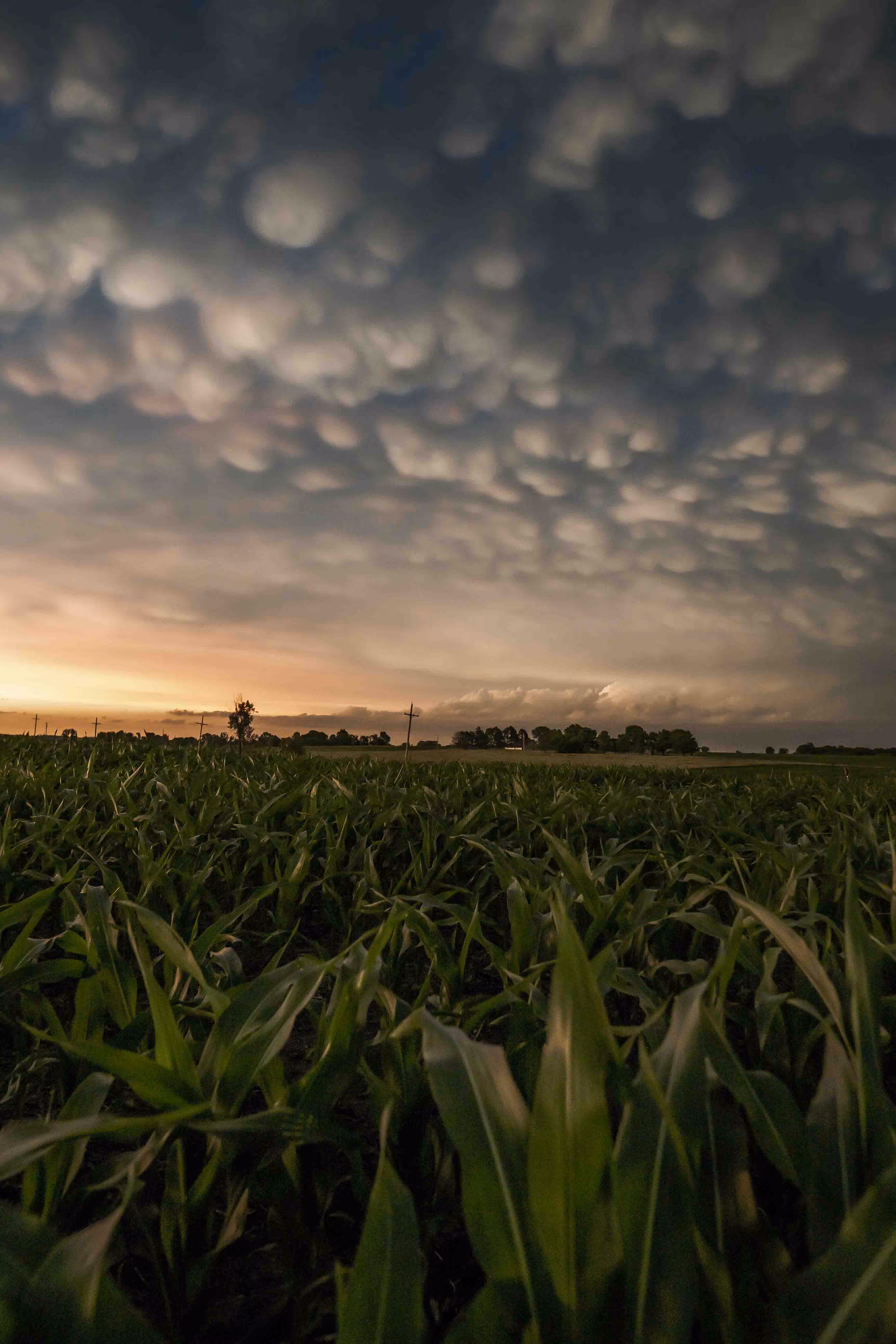 Angry Skies 