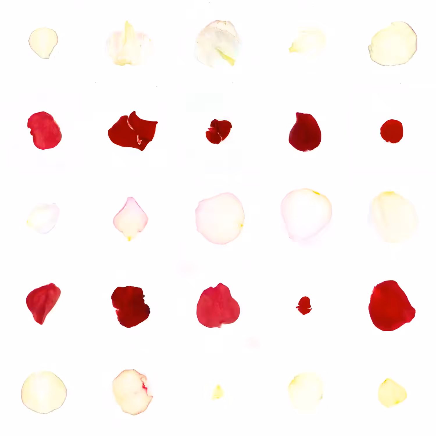 Infinite Petals 5x5#21778