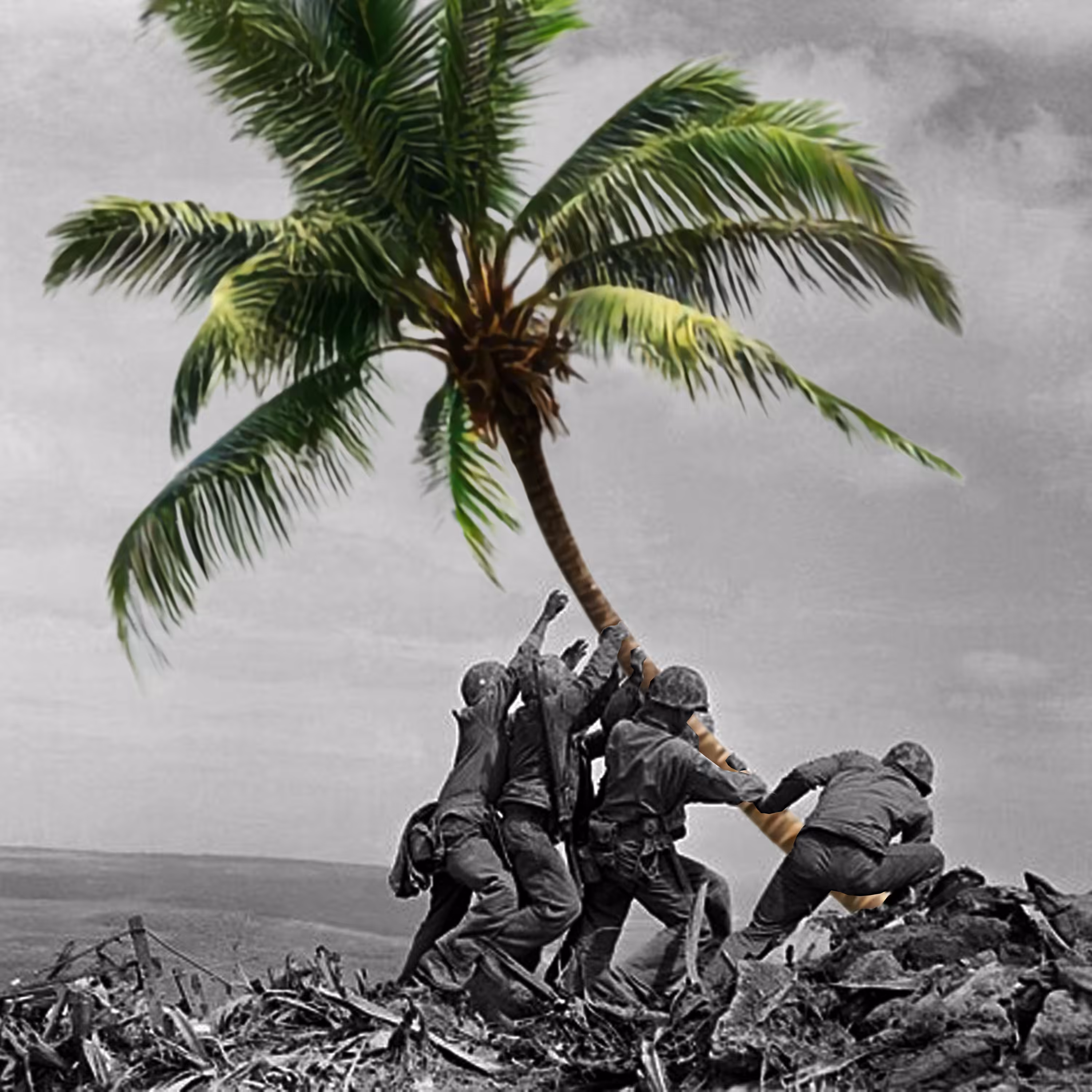 Palm Republic