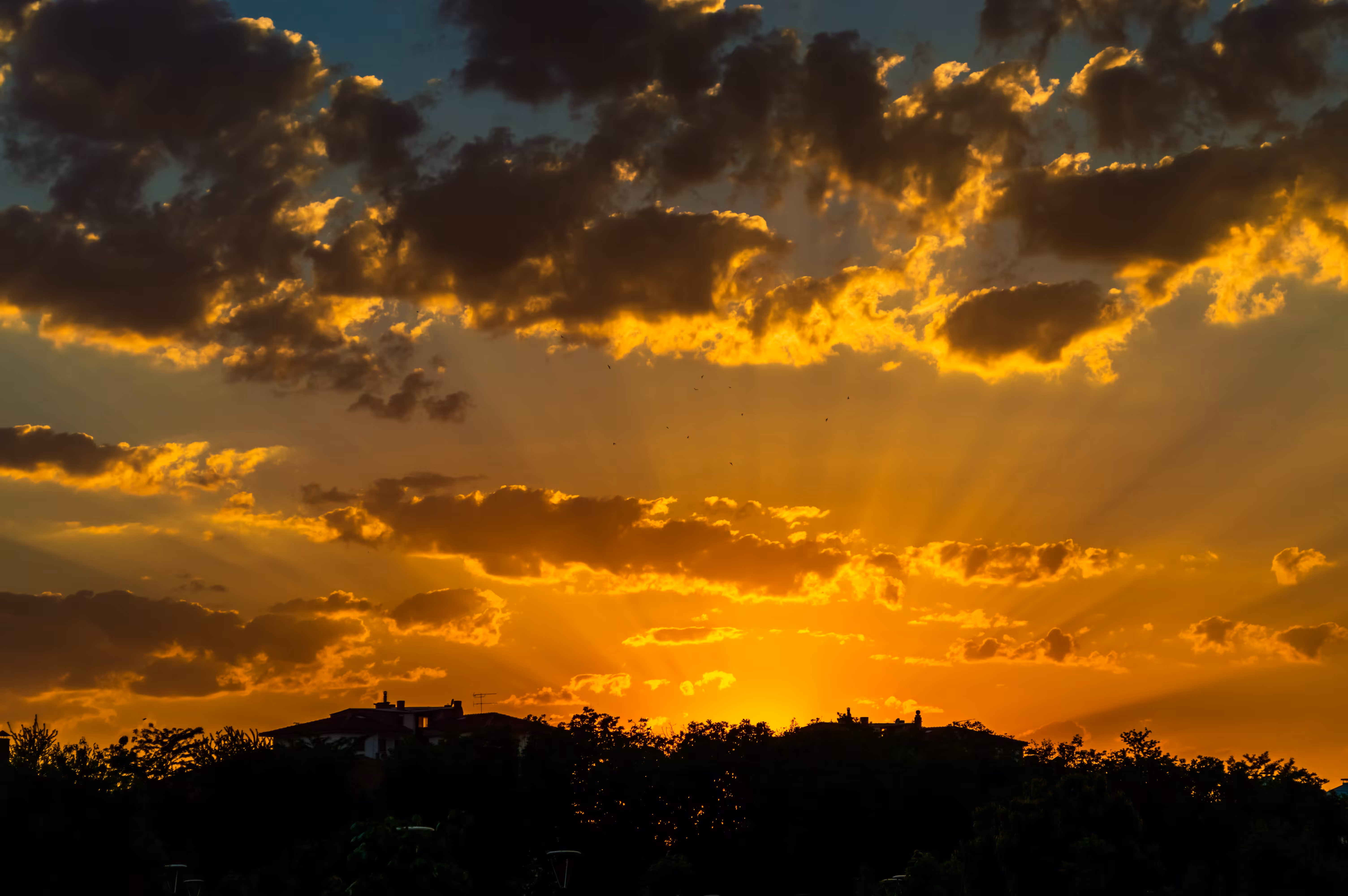 Silky's Sunset