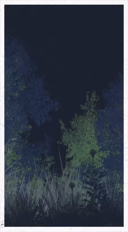 Life in the forest! #48