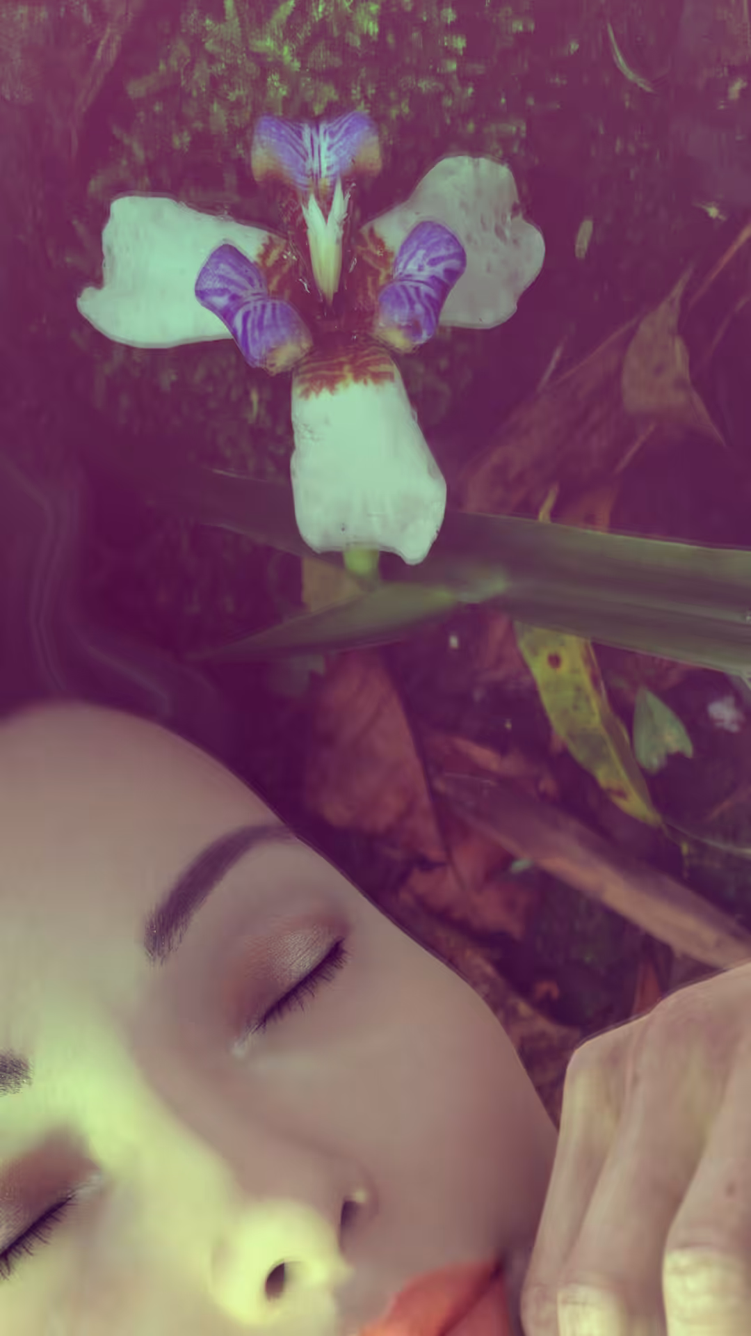 𝖆𝖚𝖗𝖔𝖗𝖆