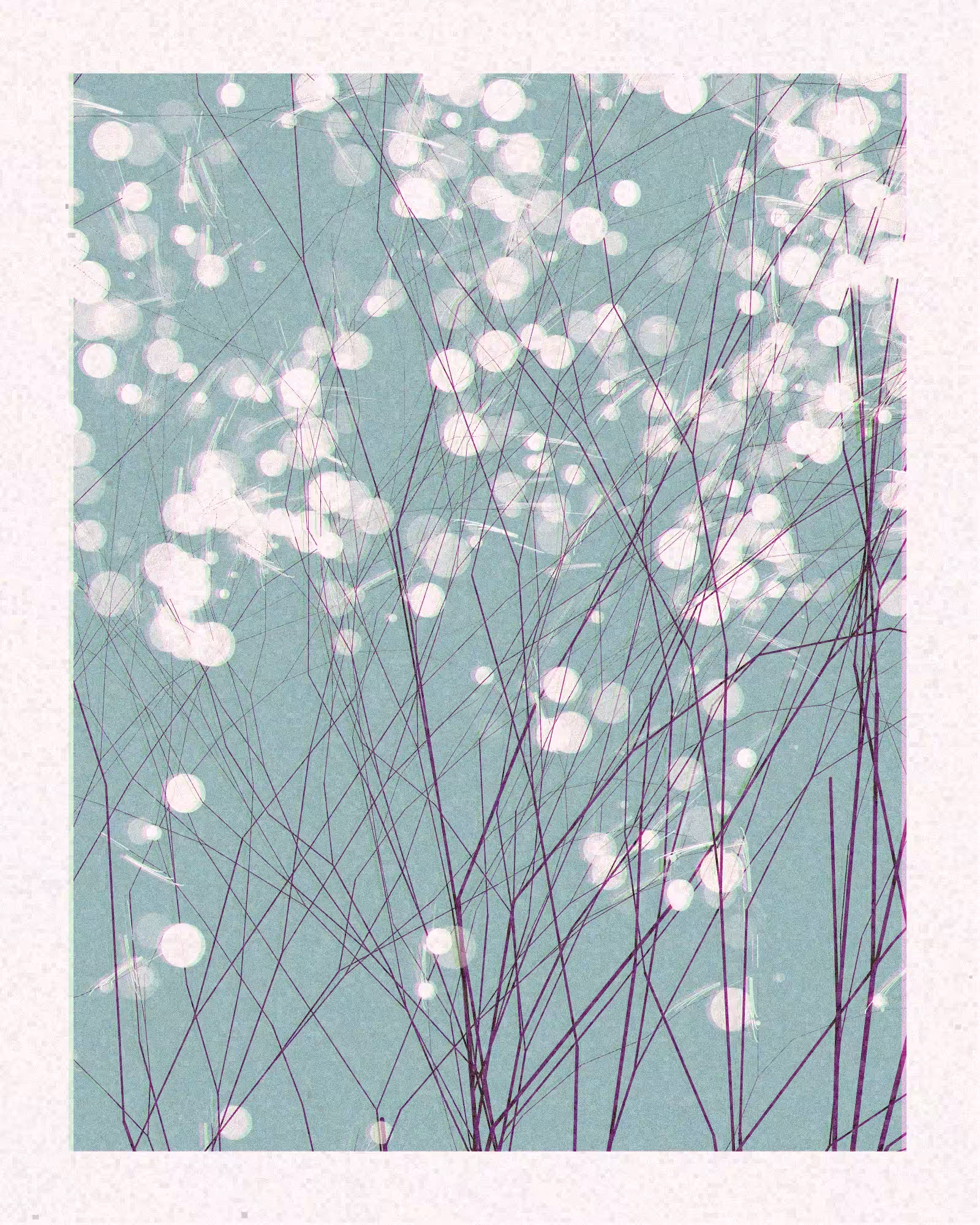 Rodeo posts: Spring