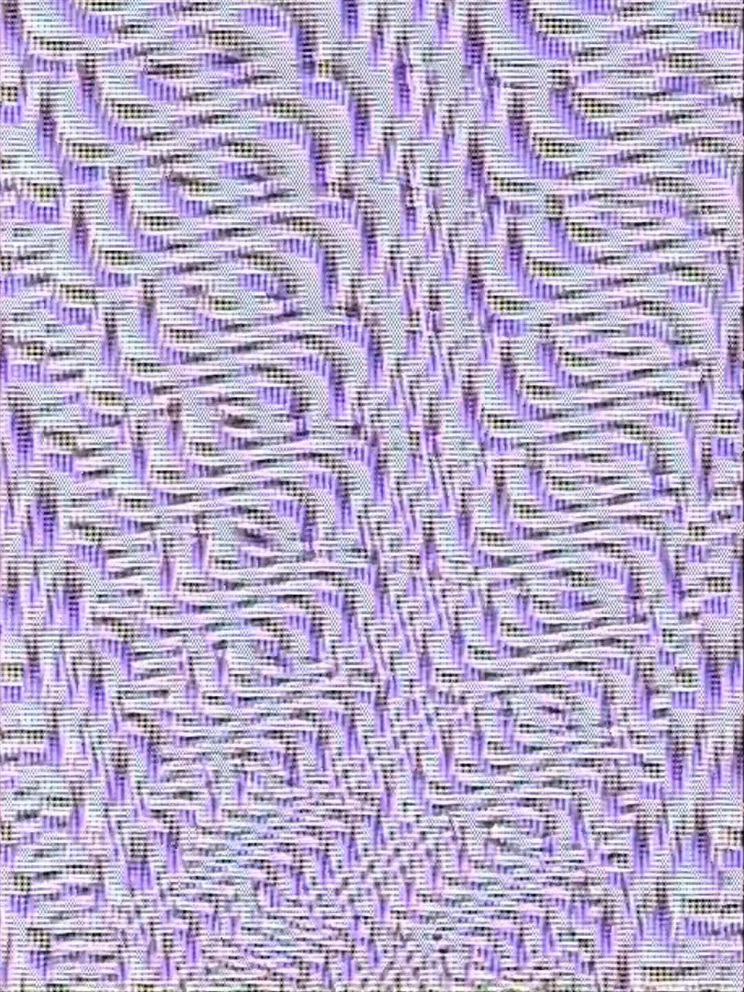 #47 Haptofractalis