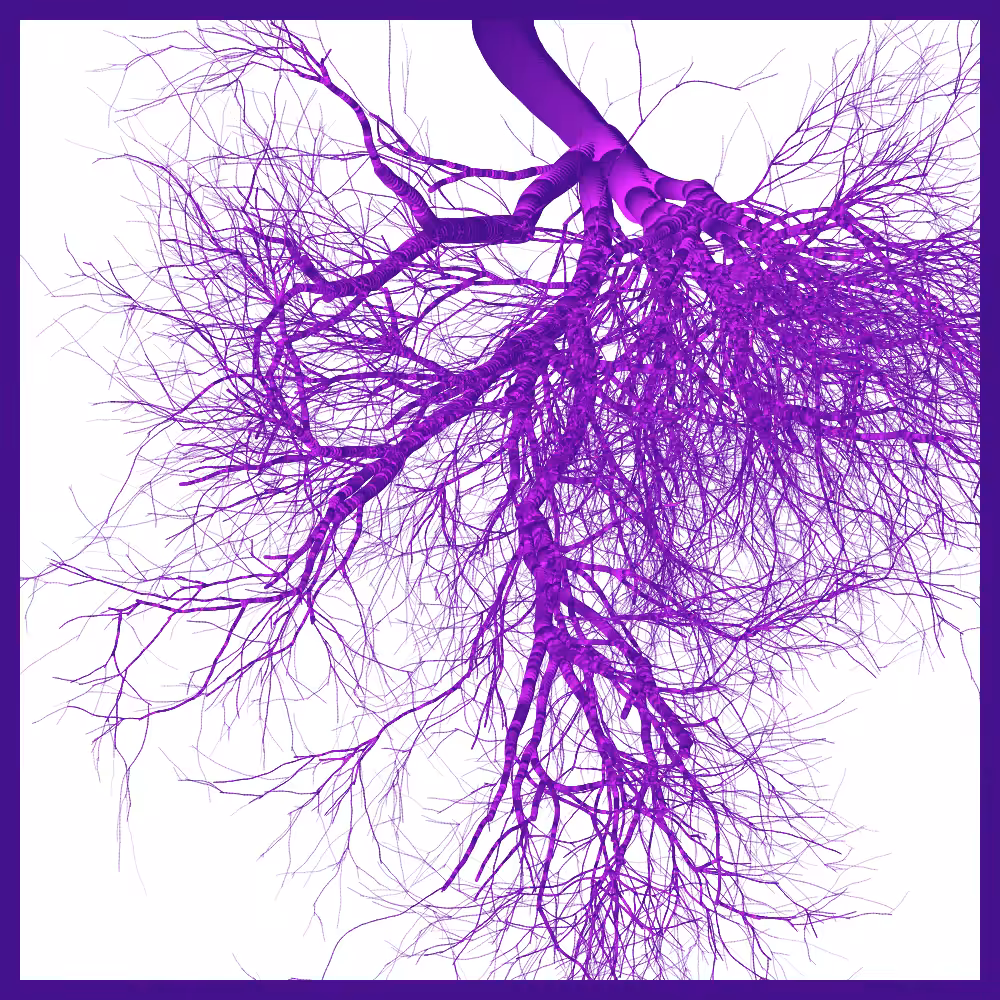 Arbres suspendus #15