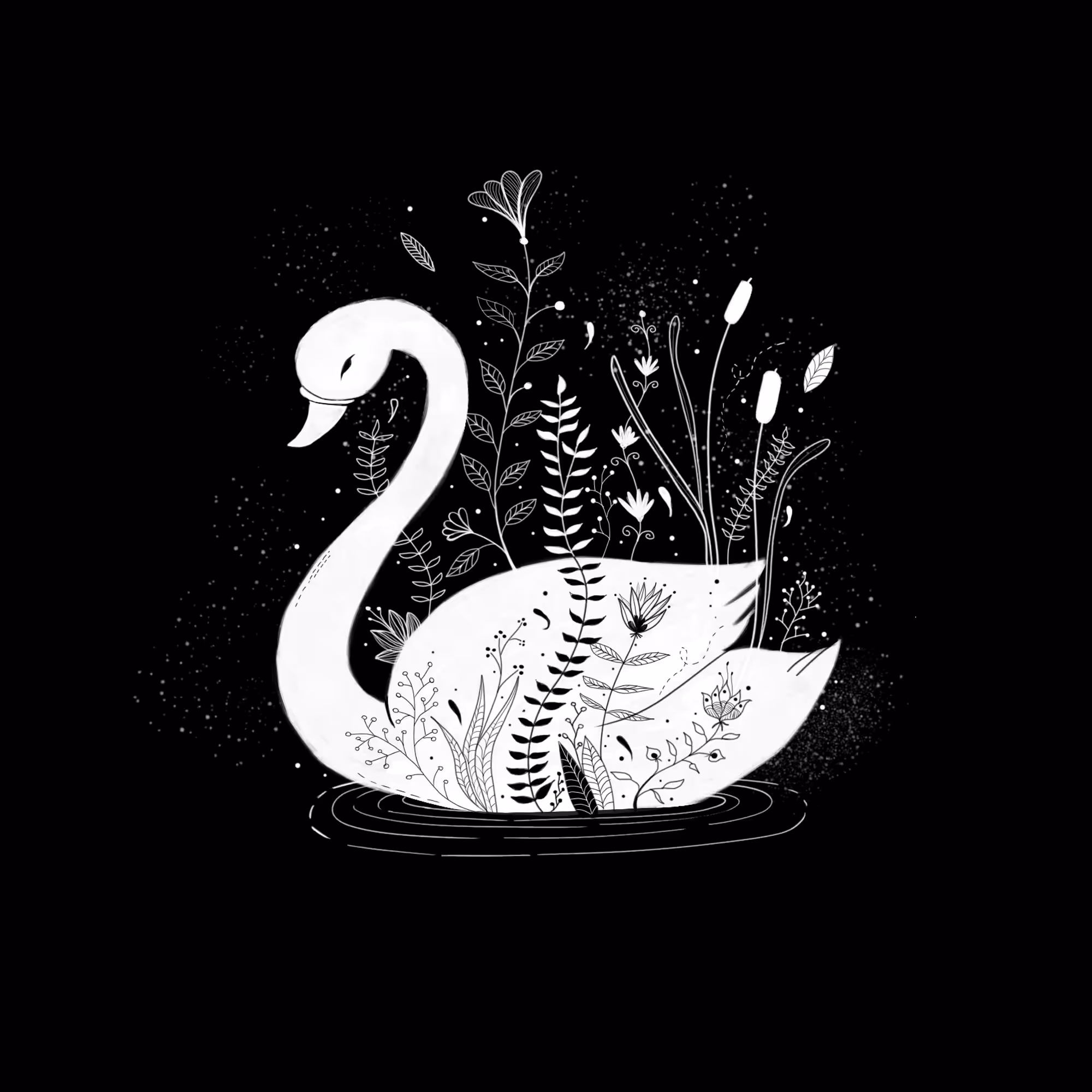 The Swan