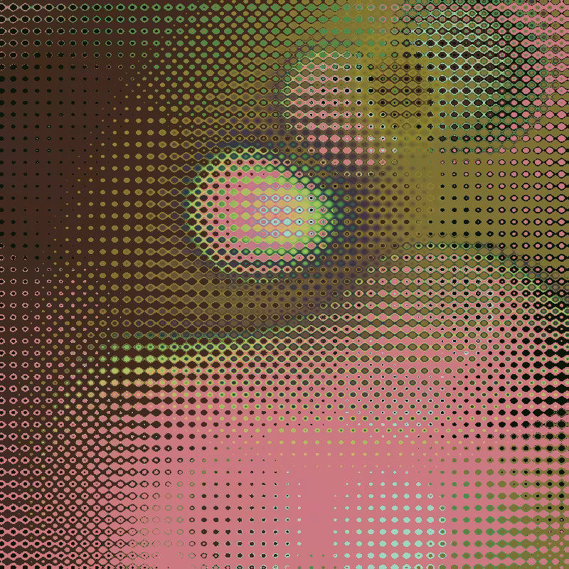 Focus #7
