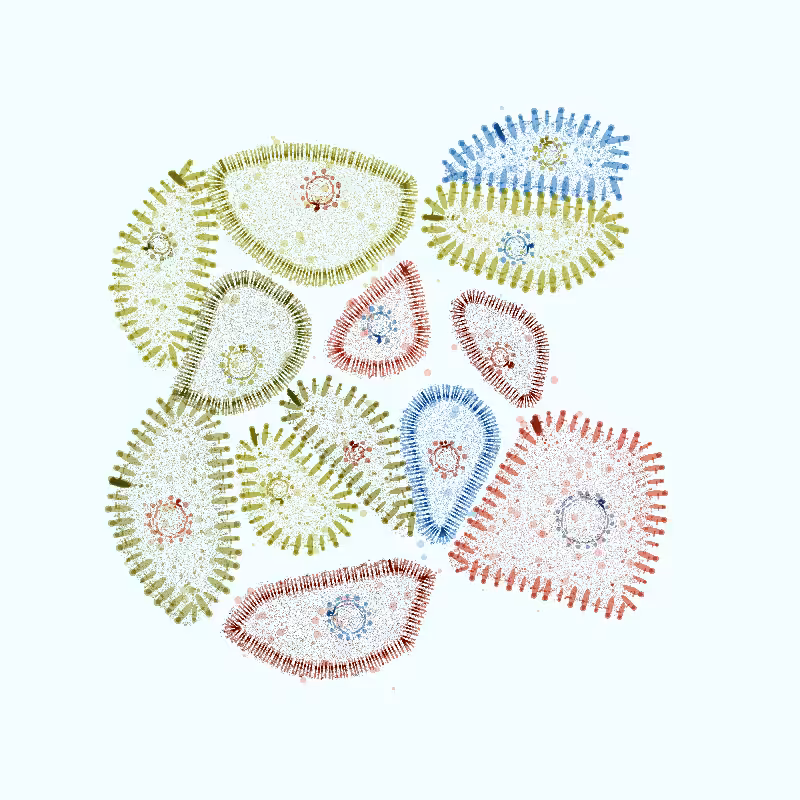 Organelles #6