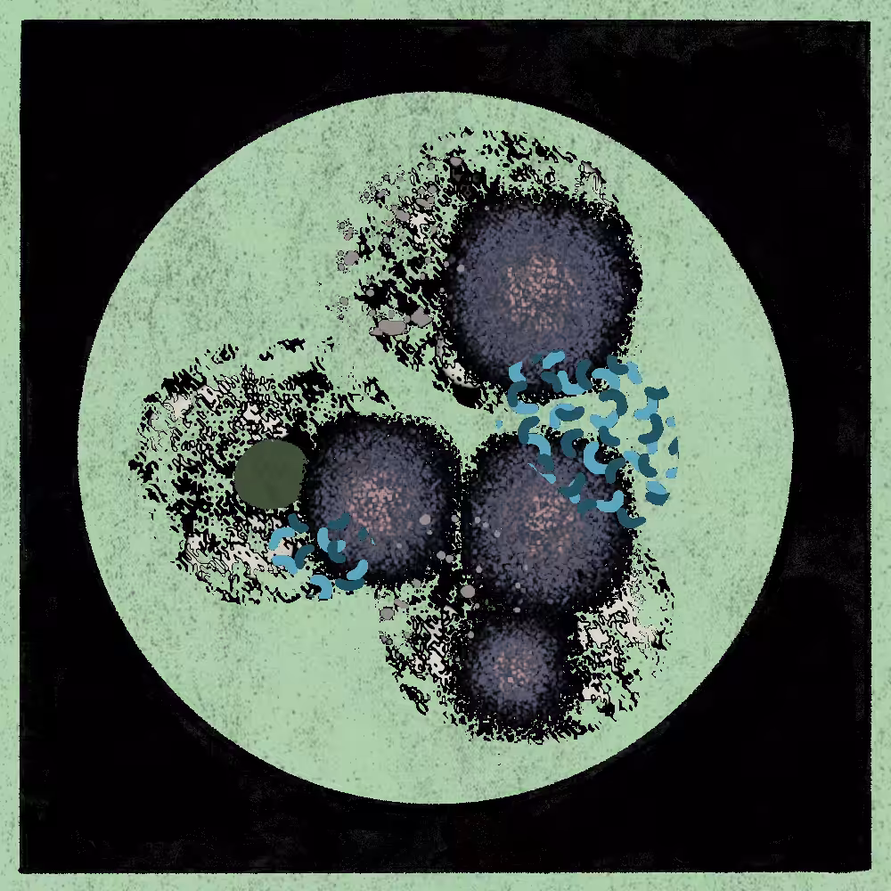 Microbes #178