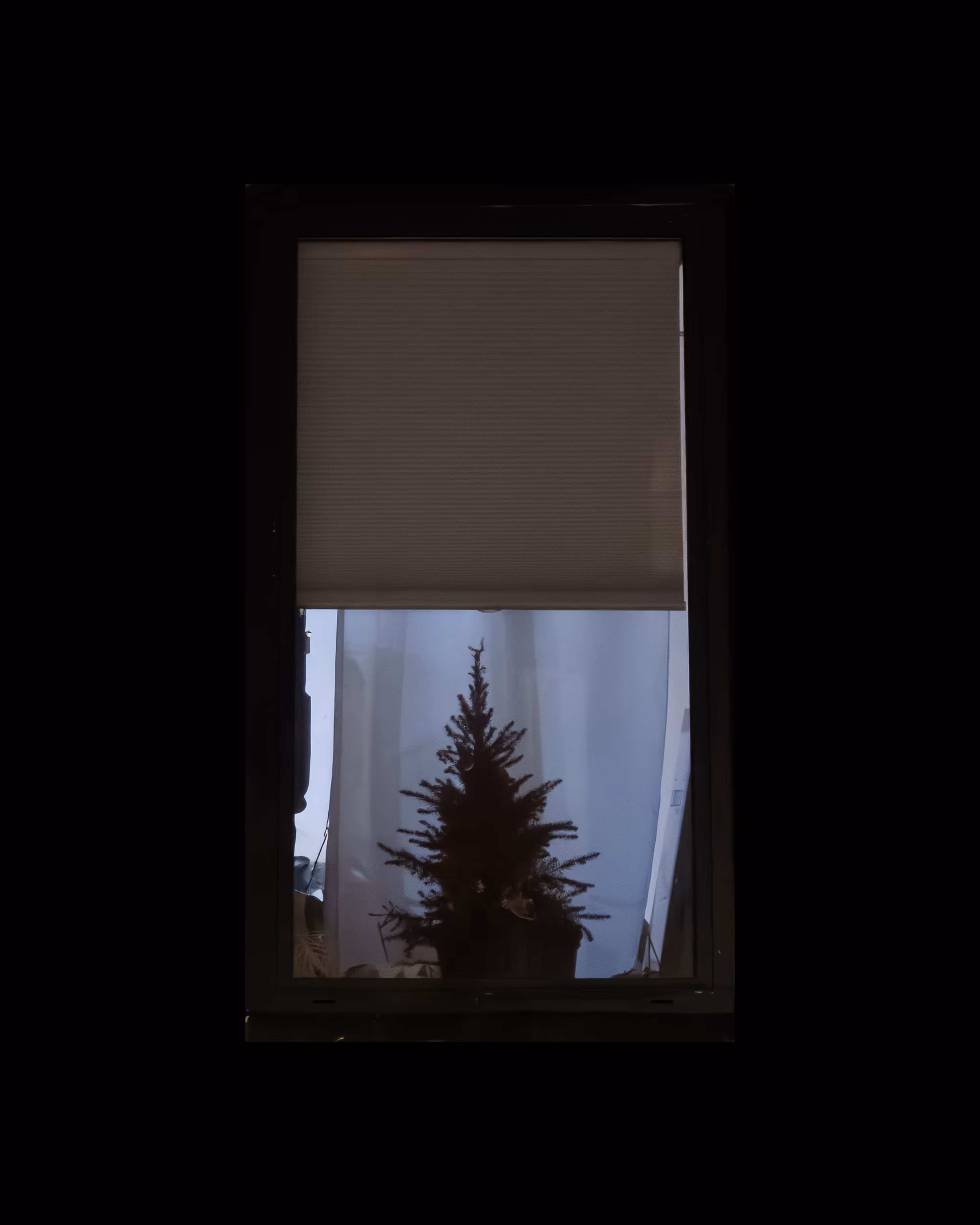 WINDOWS // NYC: WINDOW 192