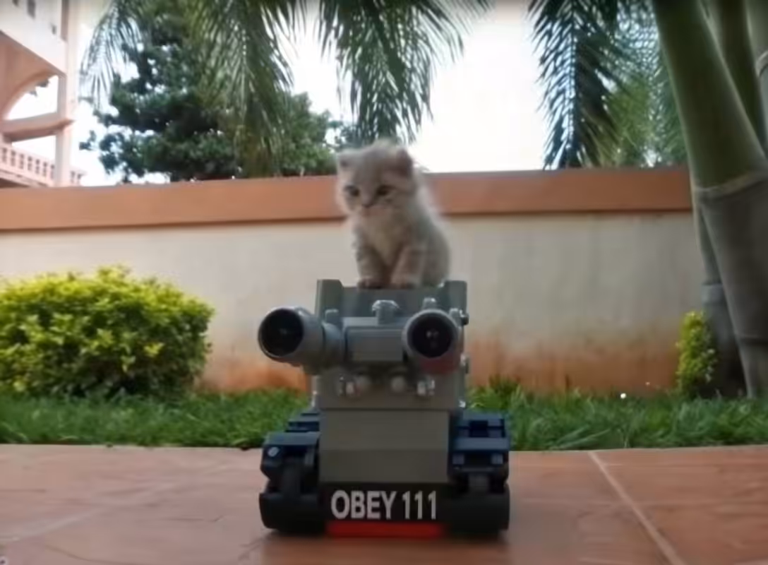 obey