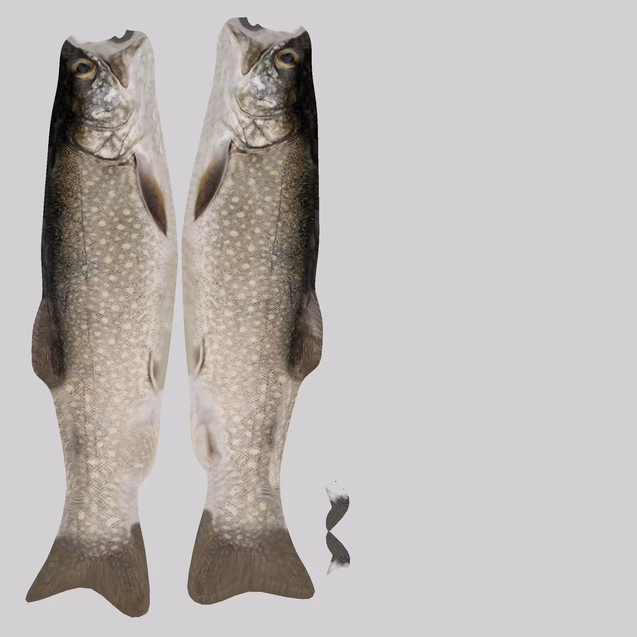 Trout UV map/texture