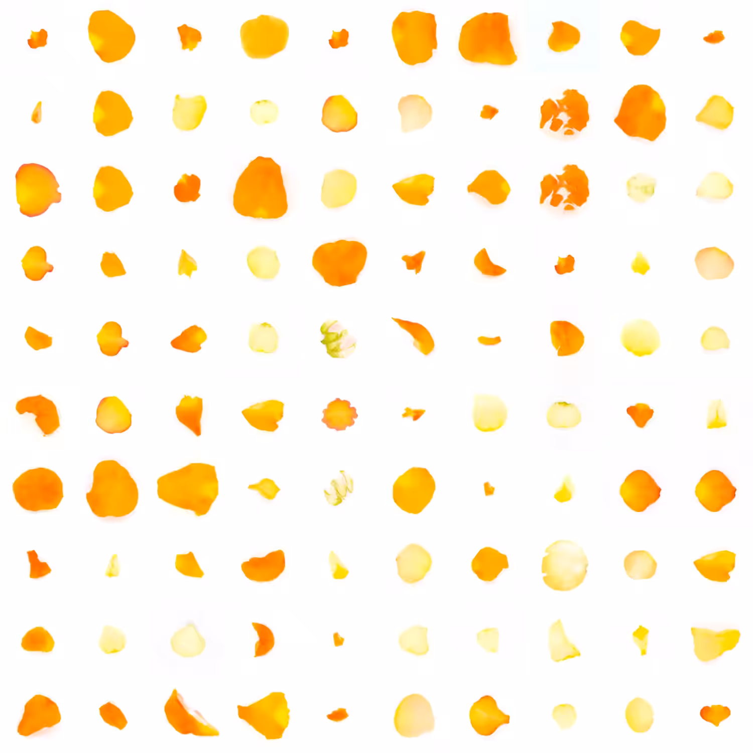 Infinite Petals 10x10#1811