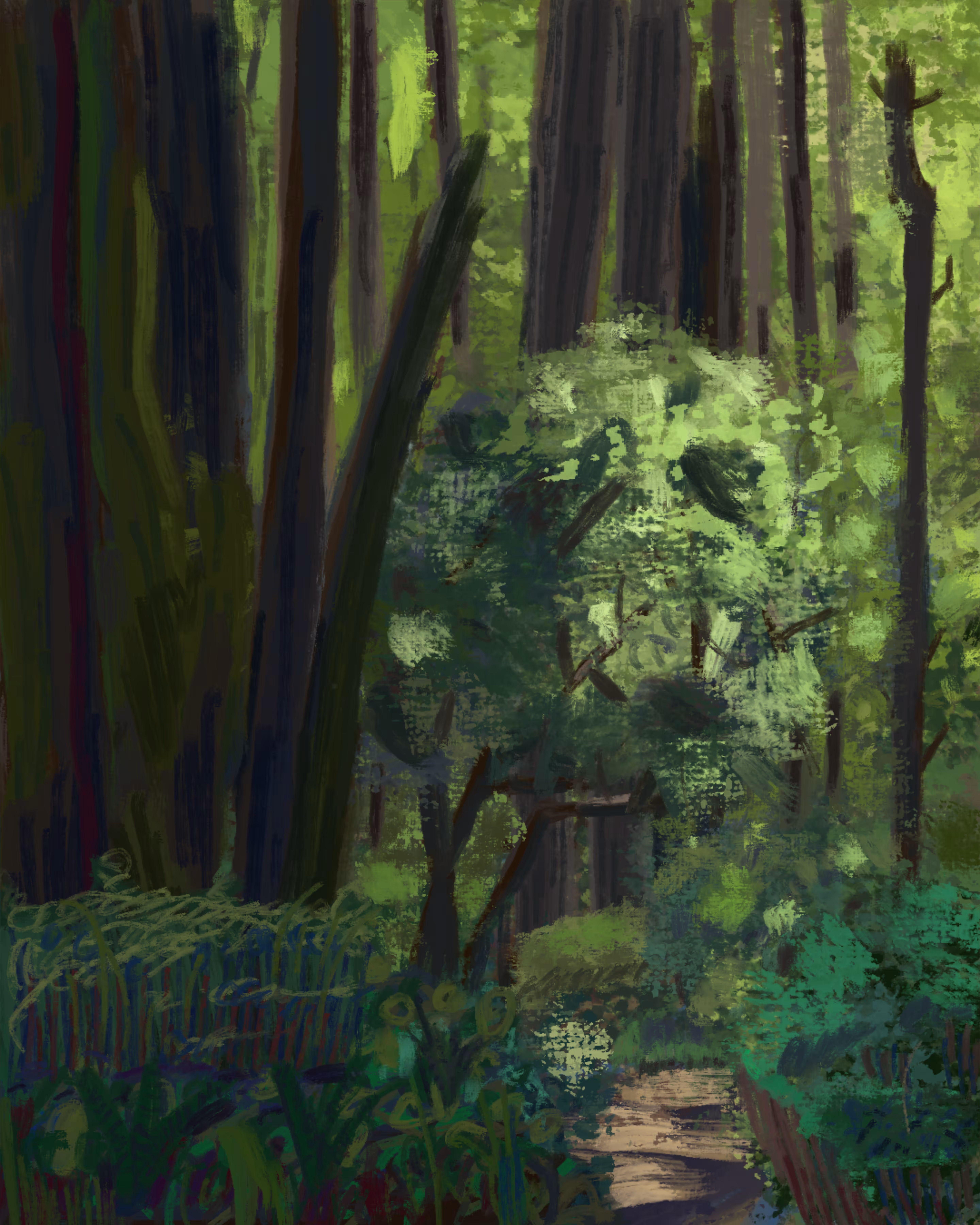 Forest Trail