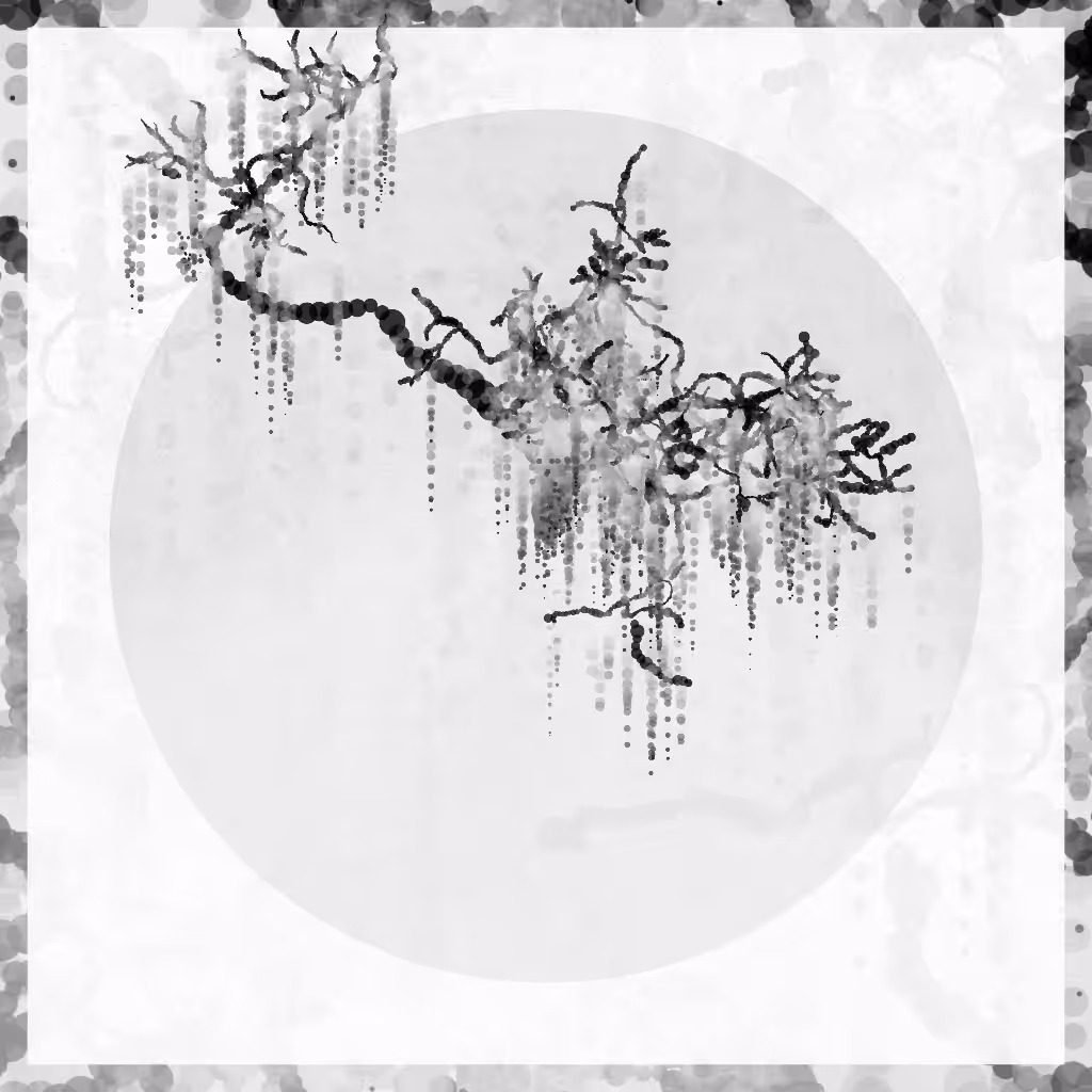 Blossom #58