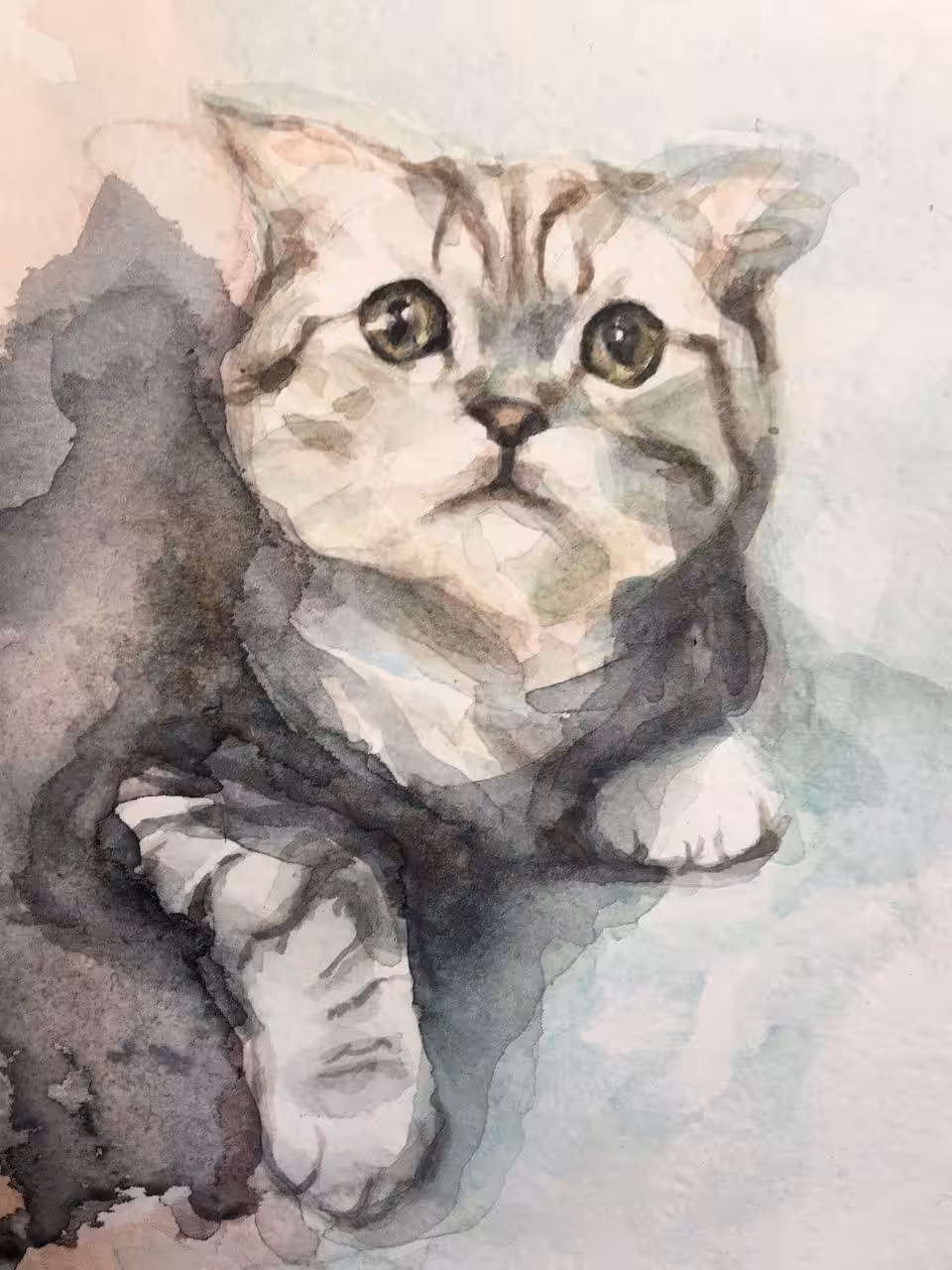 CATS.: Pishi.