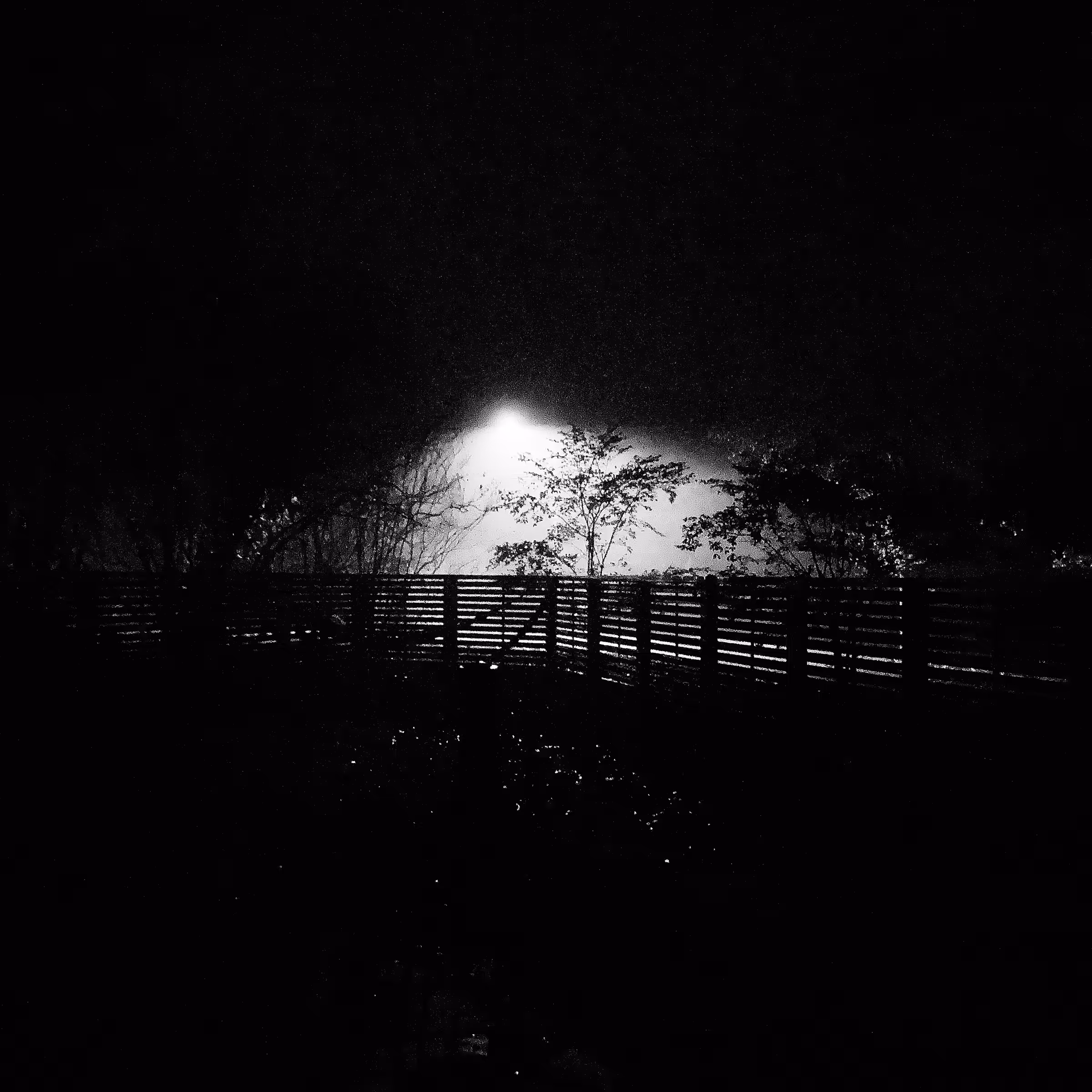 Streetlight