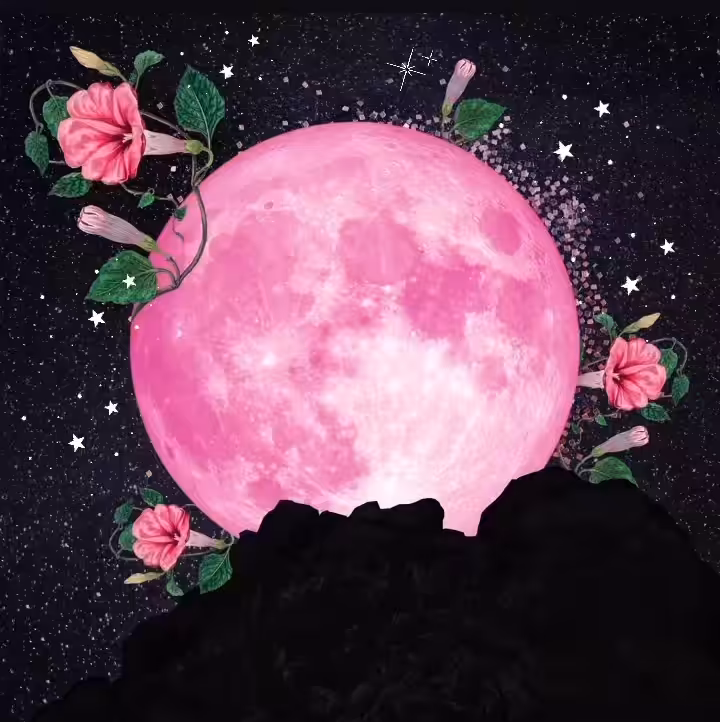 Pink Super Moon