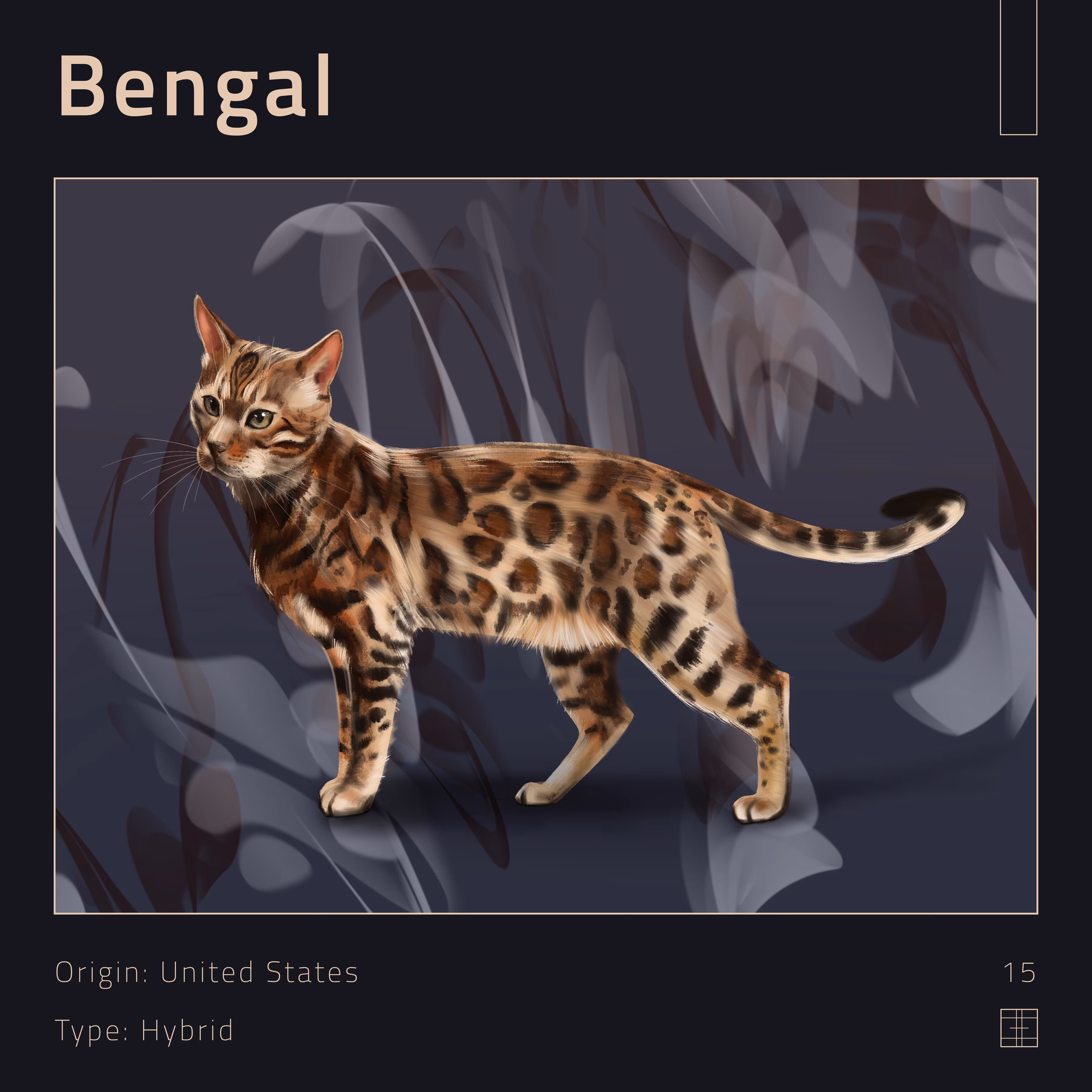 15 – Bengal cat